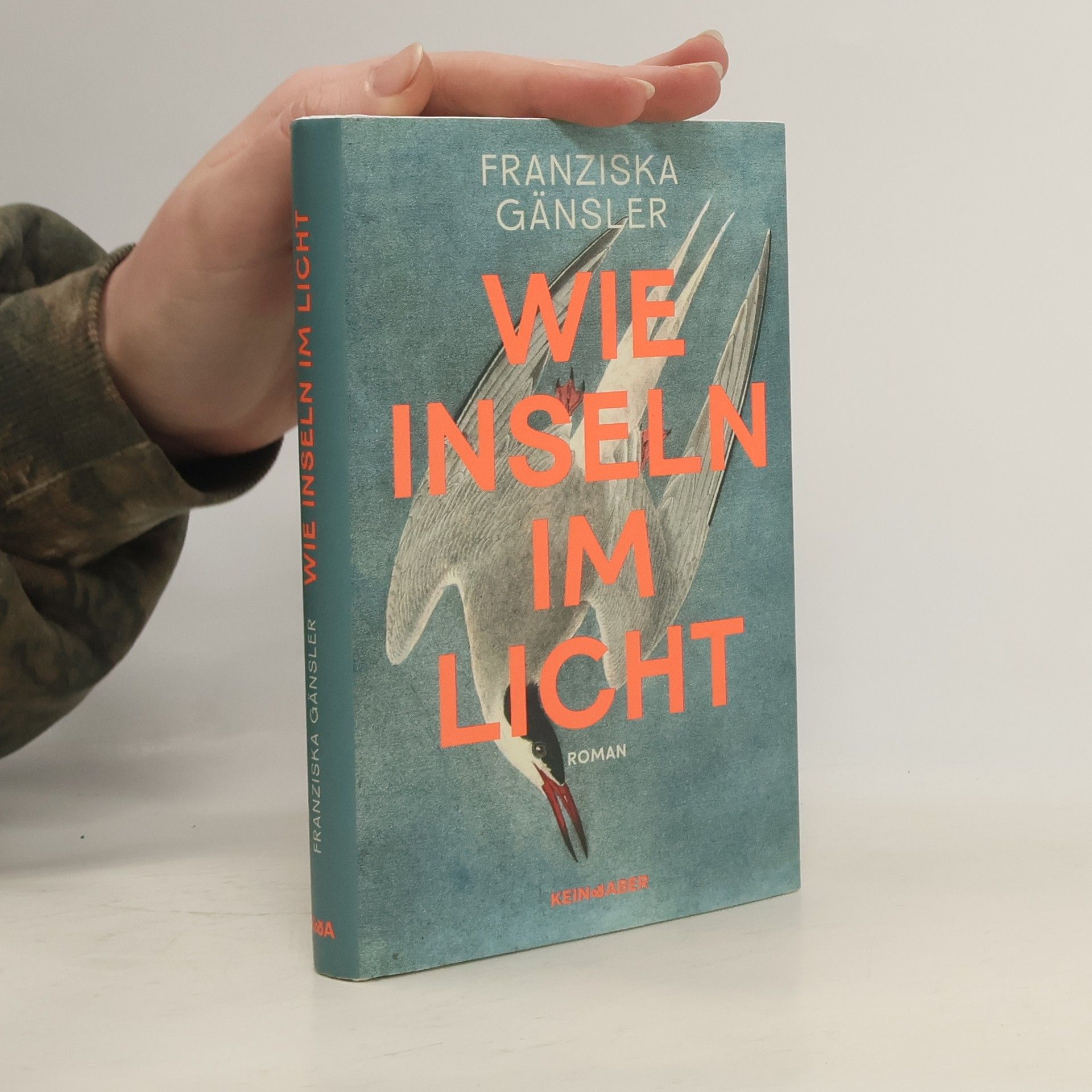 Franziska Gänsler Wie Inseln im Licht