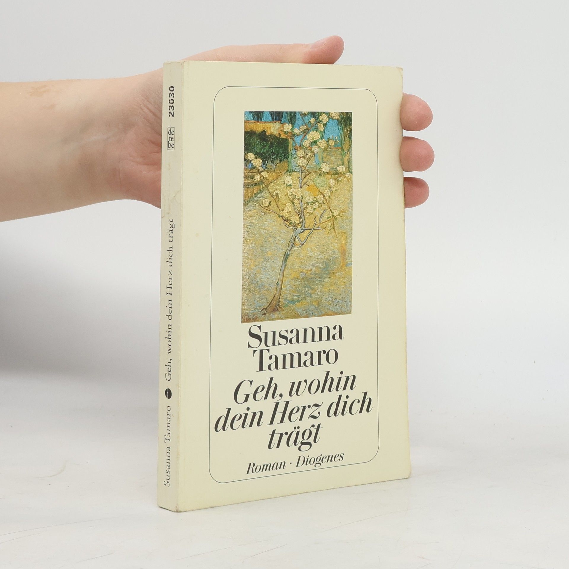 Susanna Tamaro Geh, wohin dein Herz dich trägt