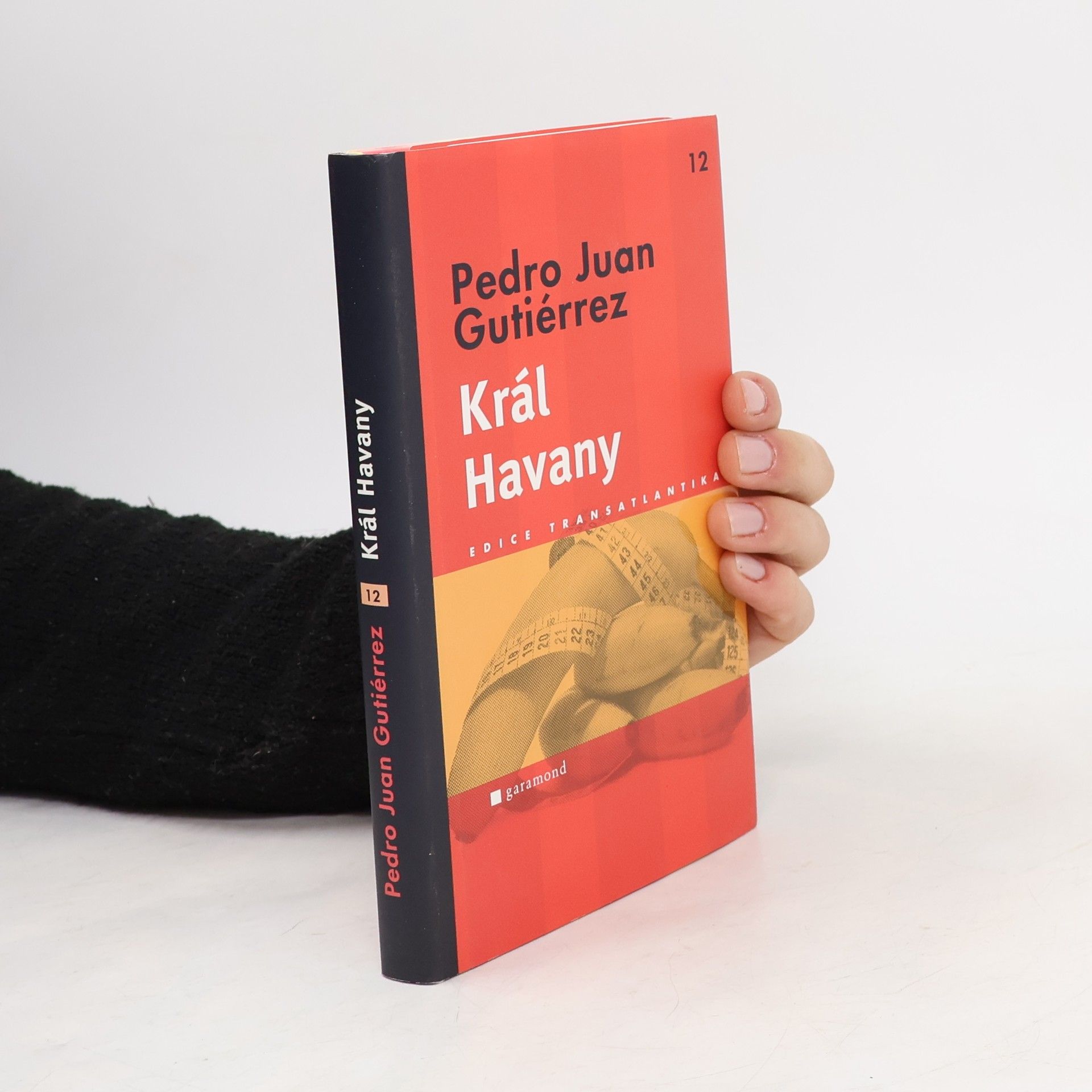 Pedro Juan Gutiérrez Král Havany