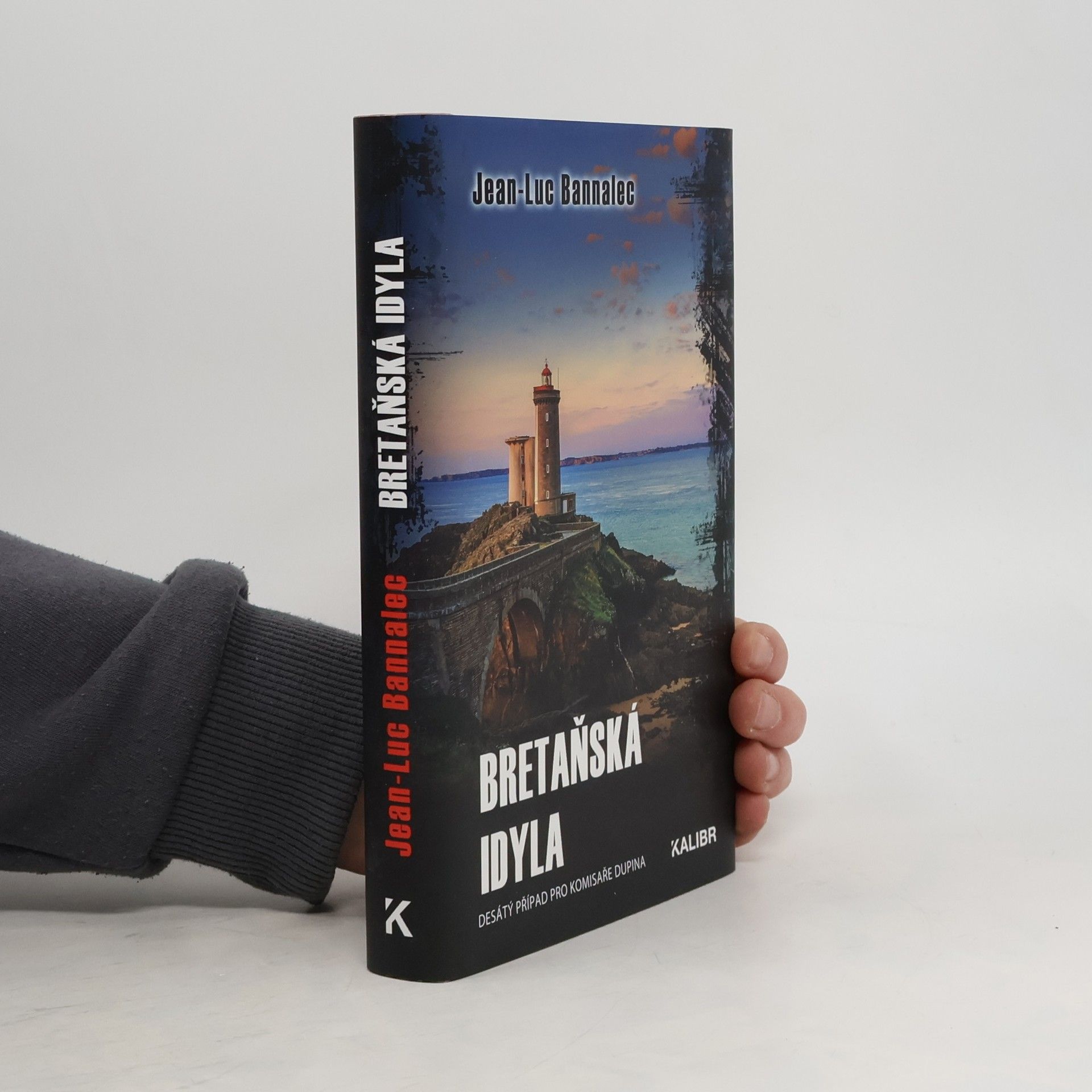 Jörg Bong Bretaňská idyla : desátý případ pro komisaře Dupina