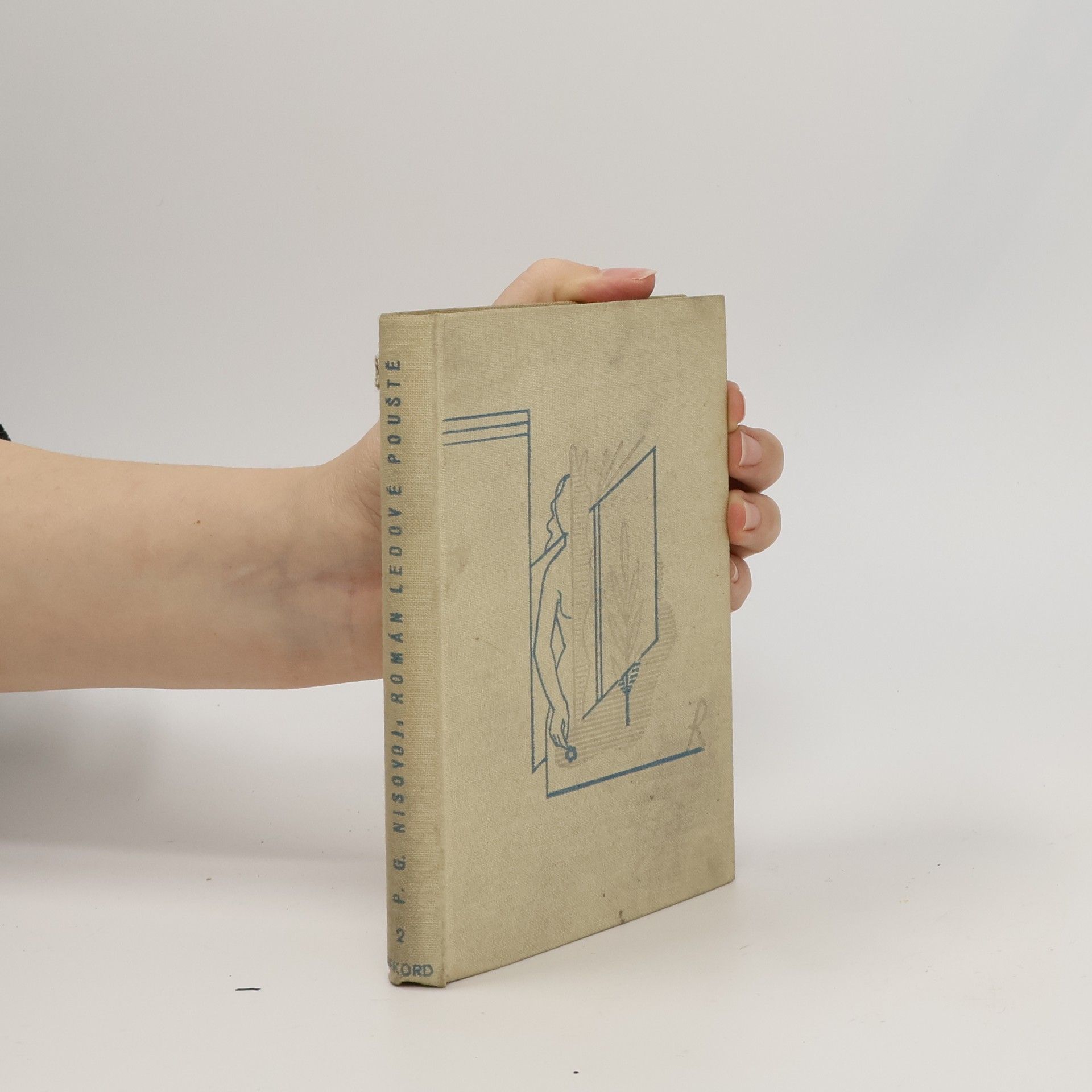 Rekord 2. Román ledové pouště