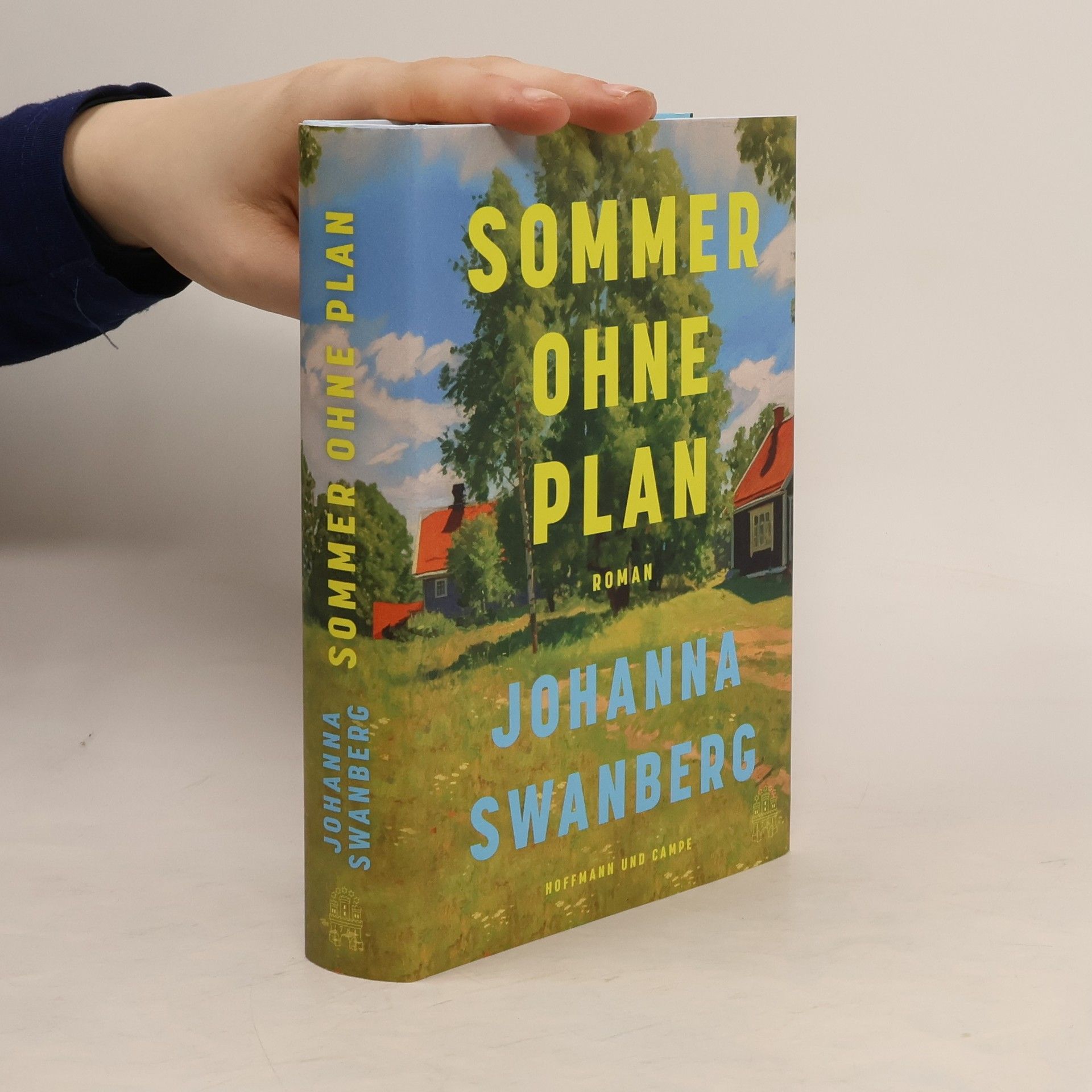 Johanna Swanberg Sommer ohne Plan