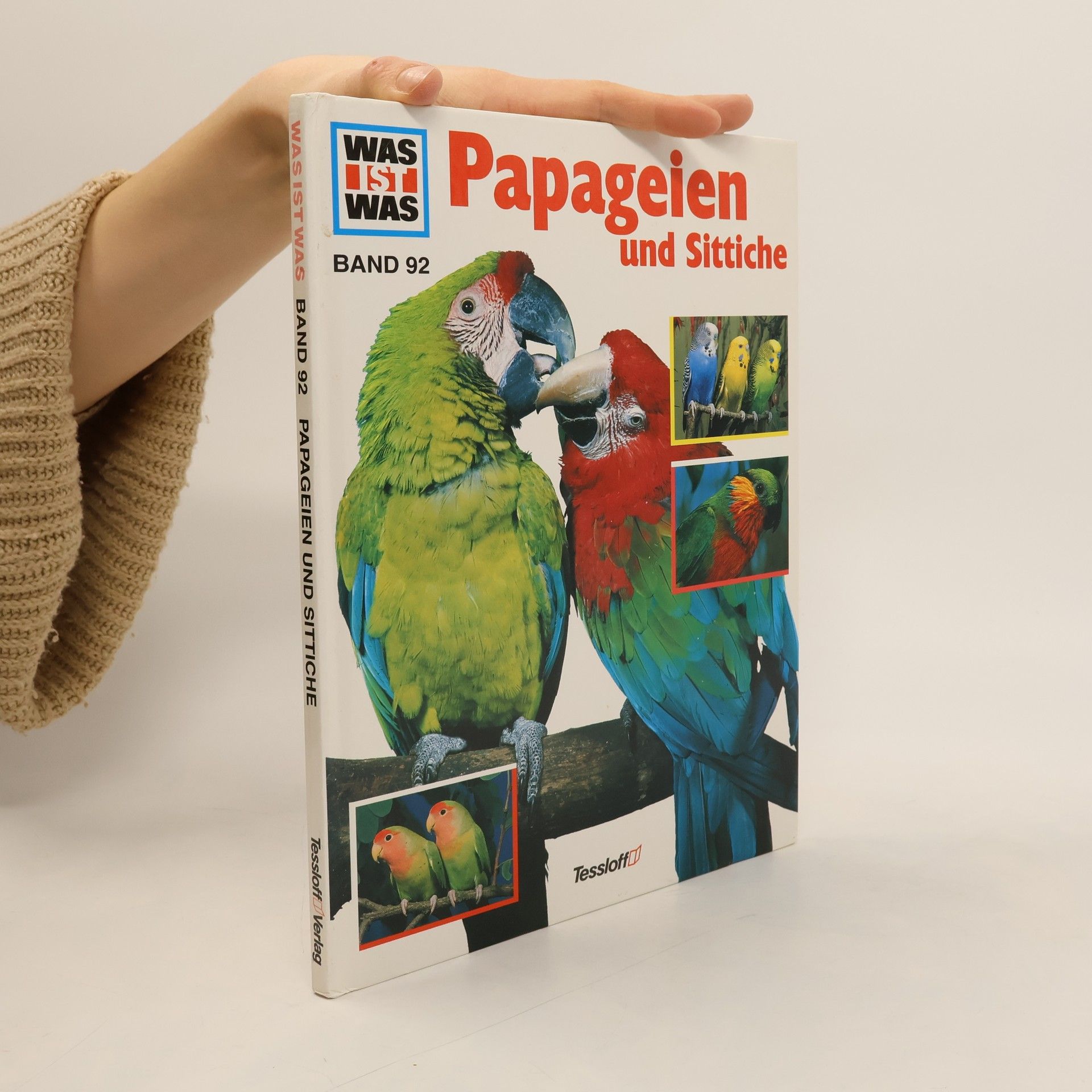 Petra Deimer-Schütte Papageien und Sittiche