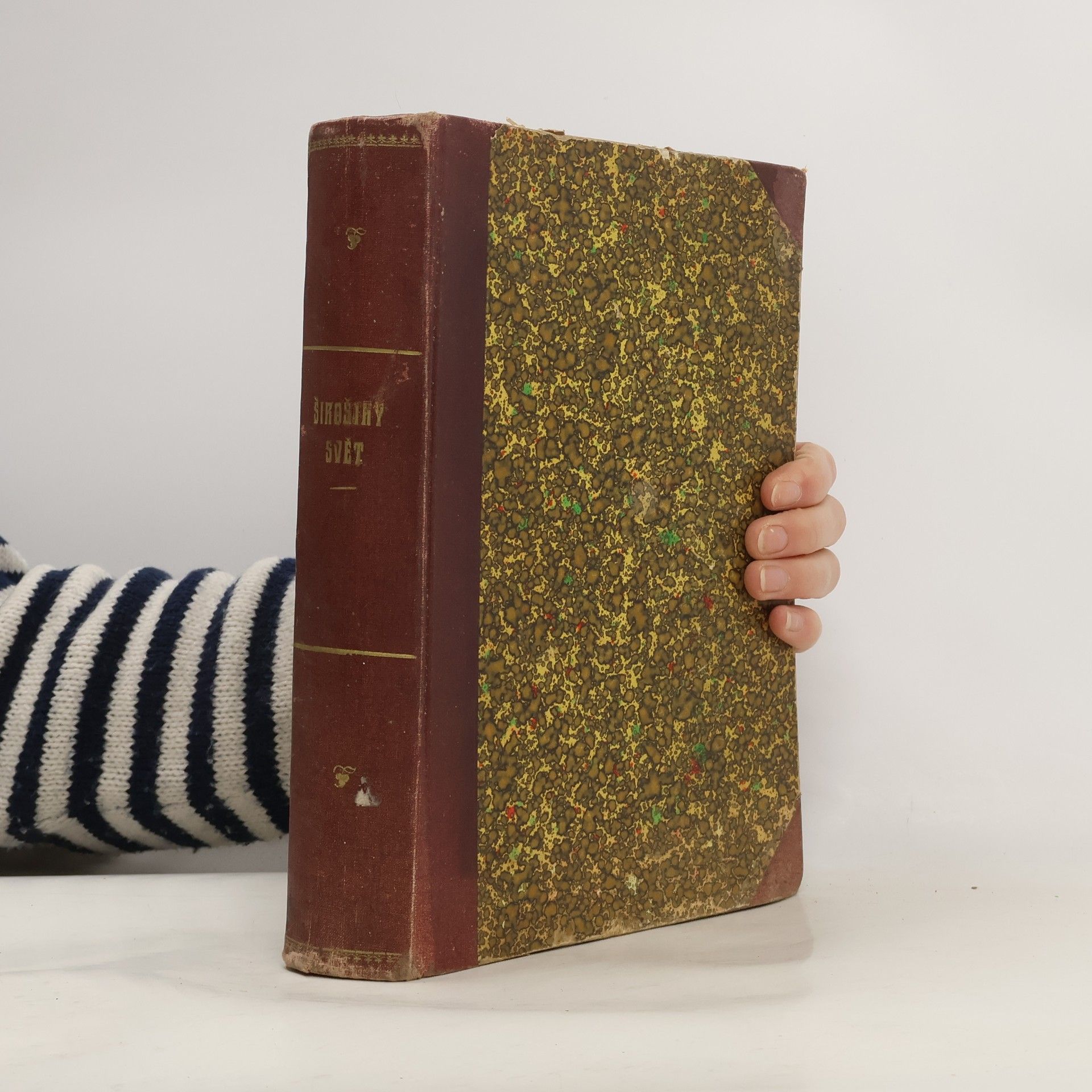 Alžběta Wetherellová Široširý svět