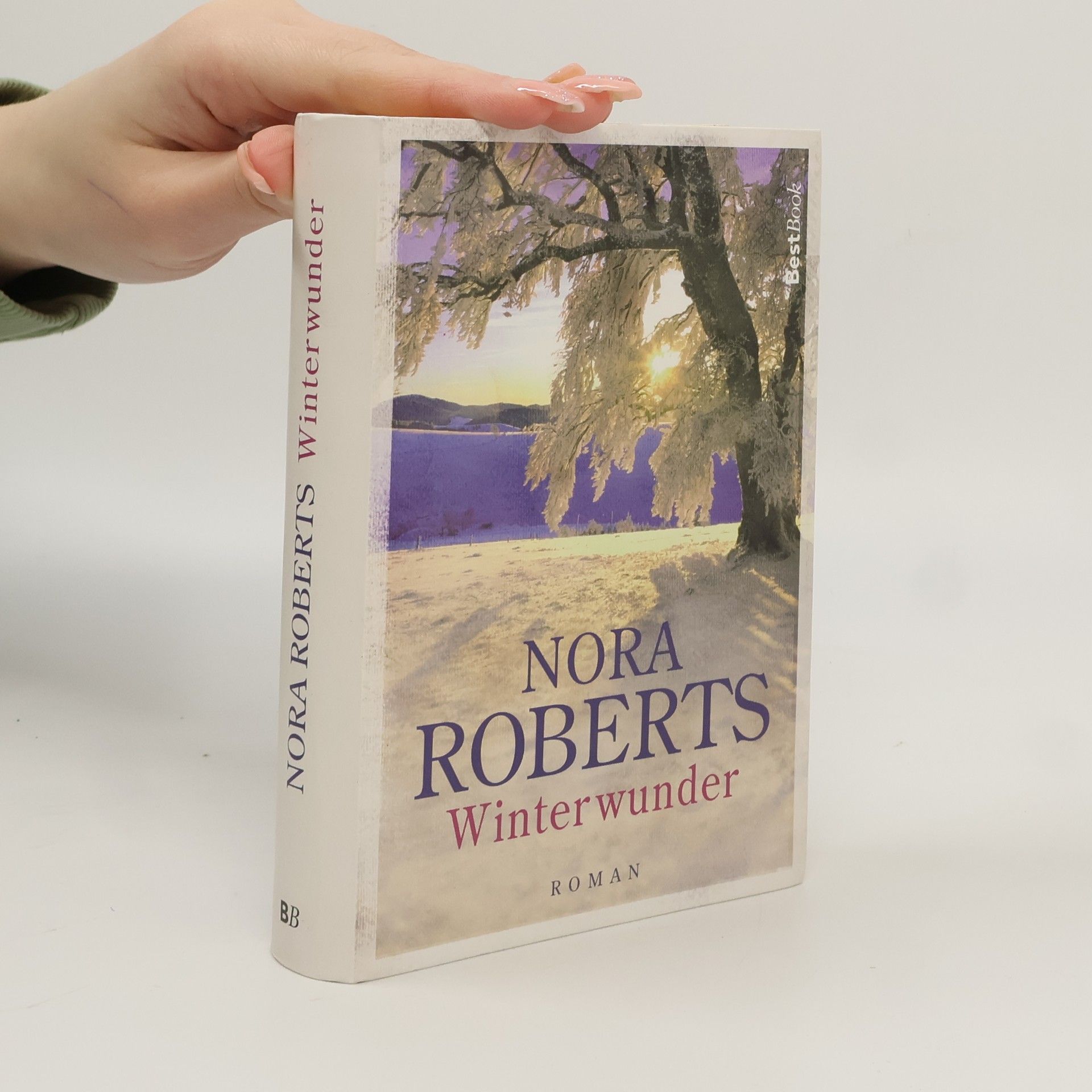 Nora Roberts Winterwunder