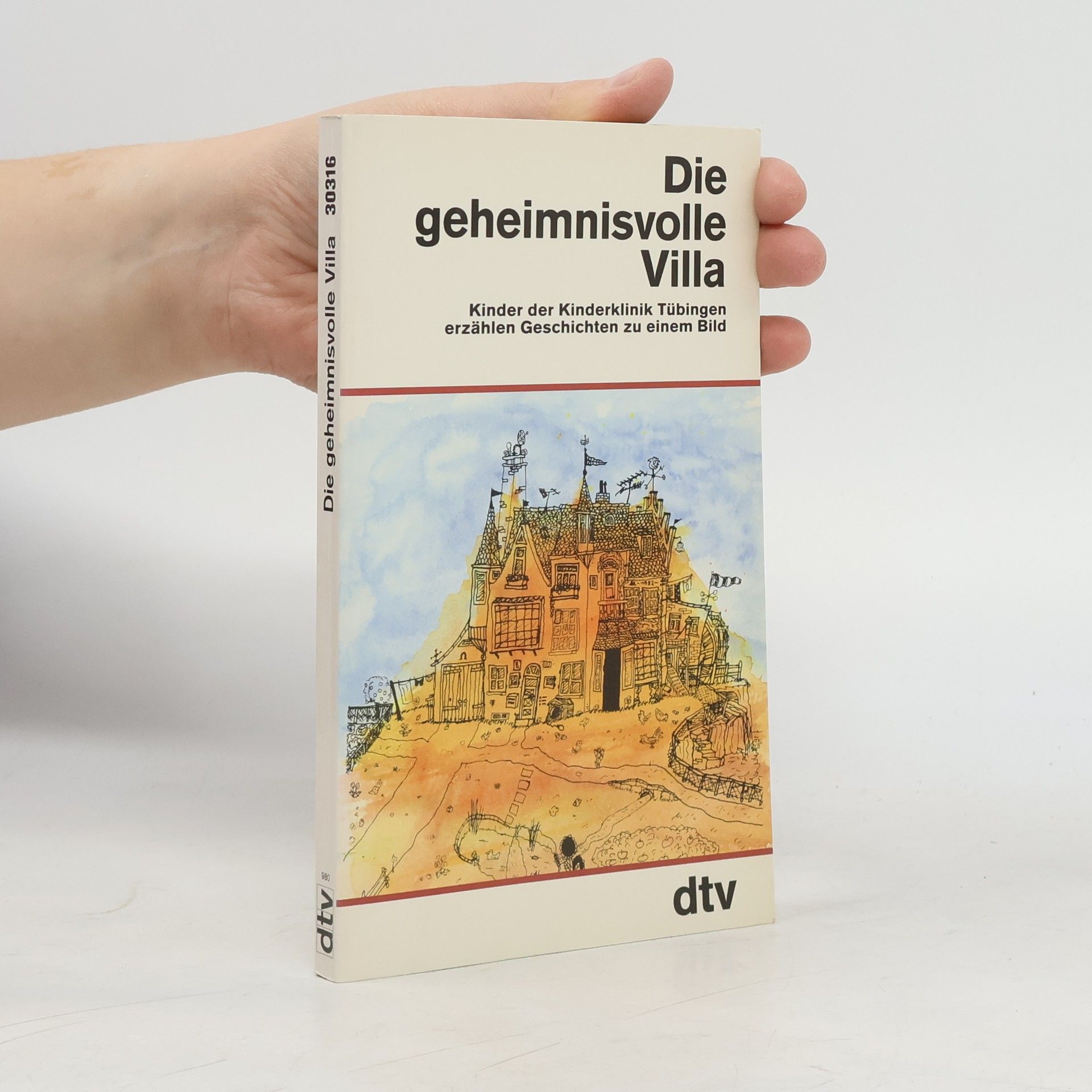 Autores varios Die geheimnisvolle Villa