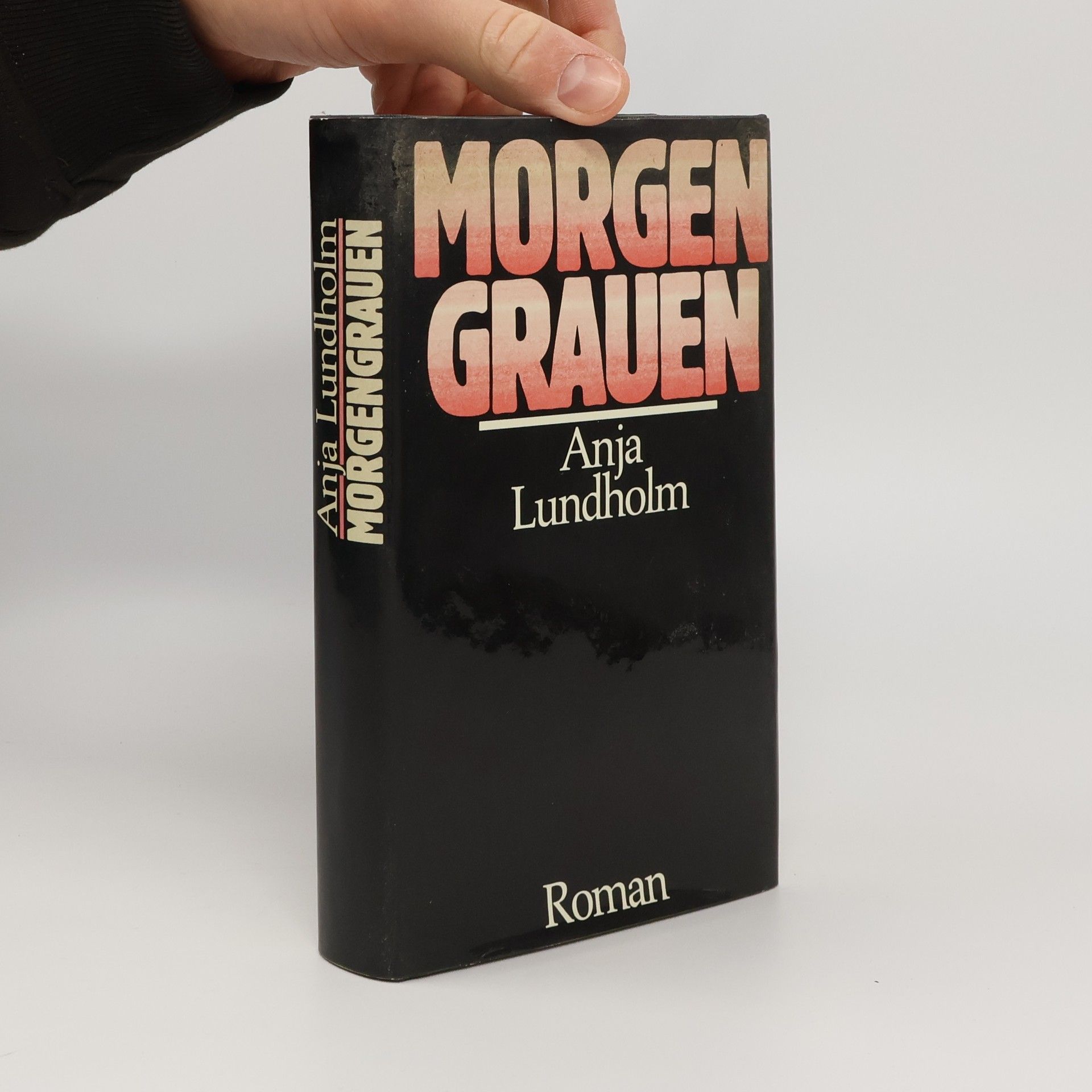 Anja Lundholm Morgen Grauen