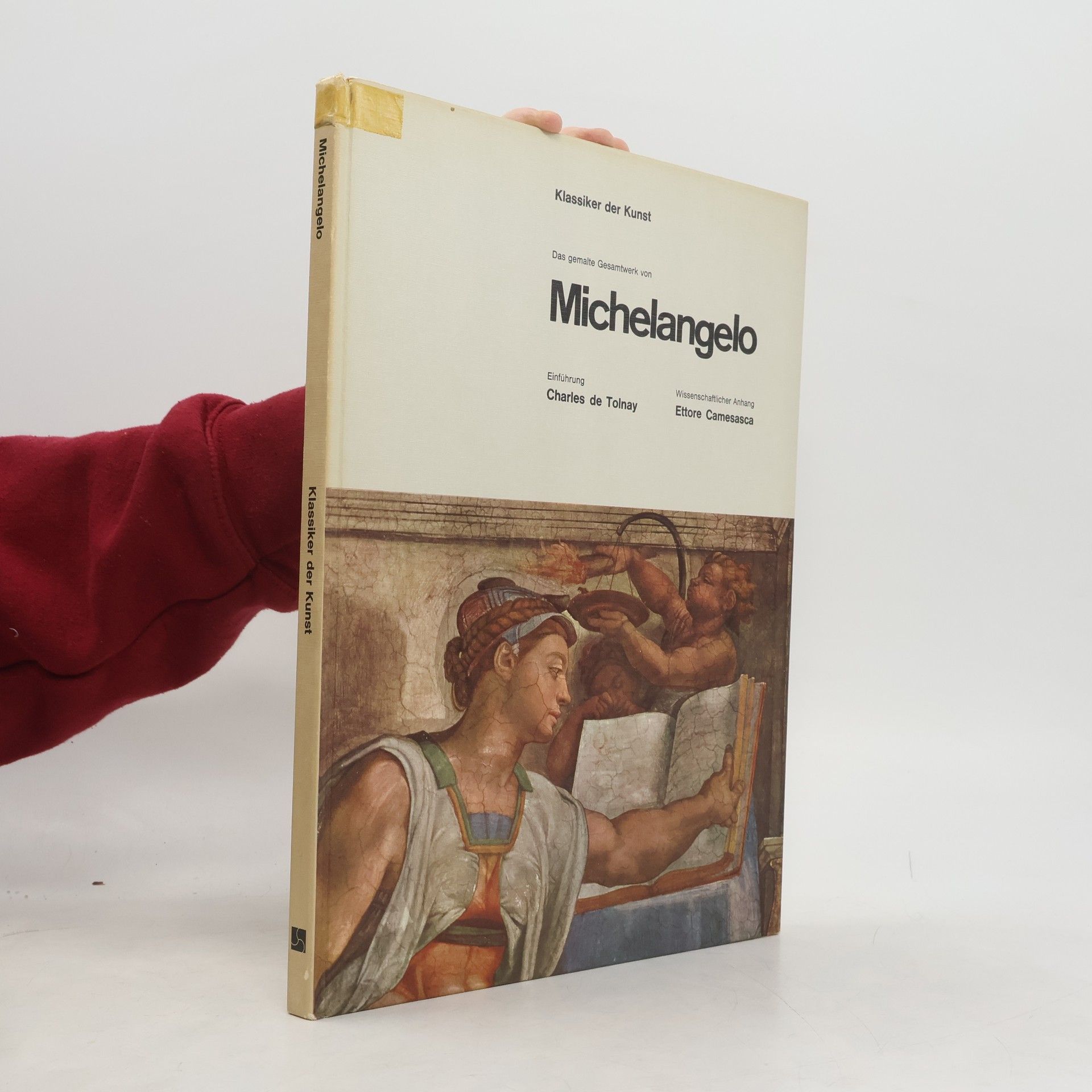 Charles De Tolnay Klassiker der Kunst. Das gemalte Gesamtwerk von Michelangelo