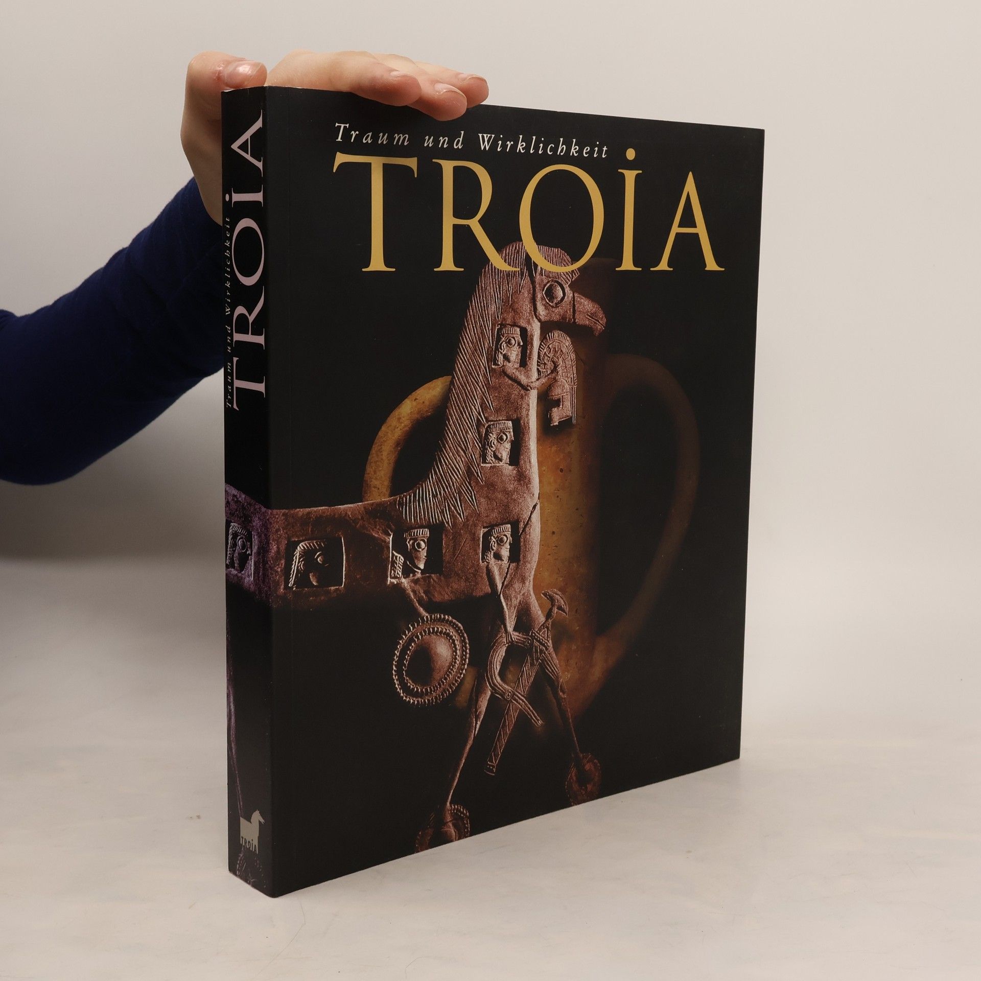 Autorenkollektiv Troia : Traum und wirklichkeit