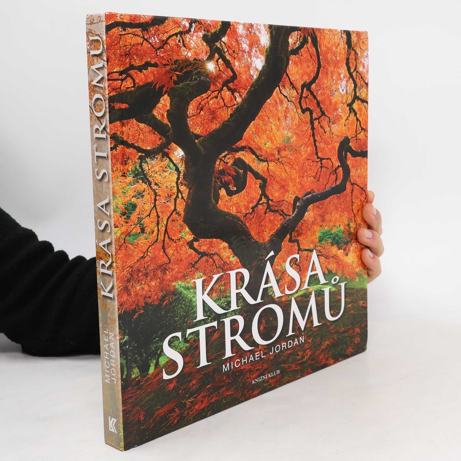 Michael Jordan Krása stromů