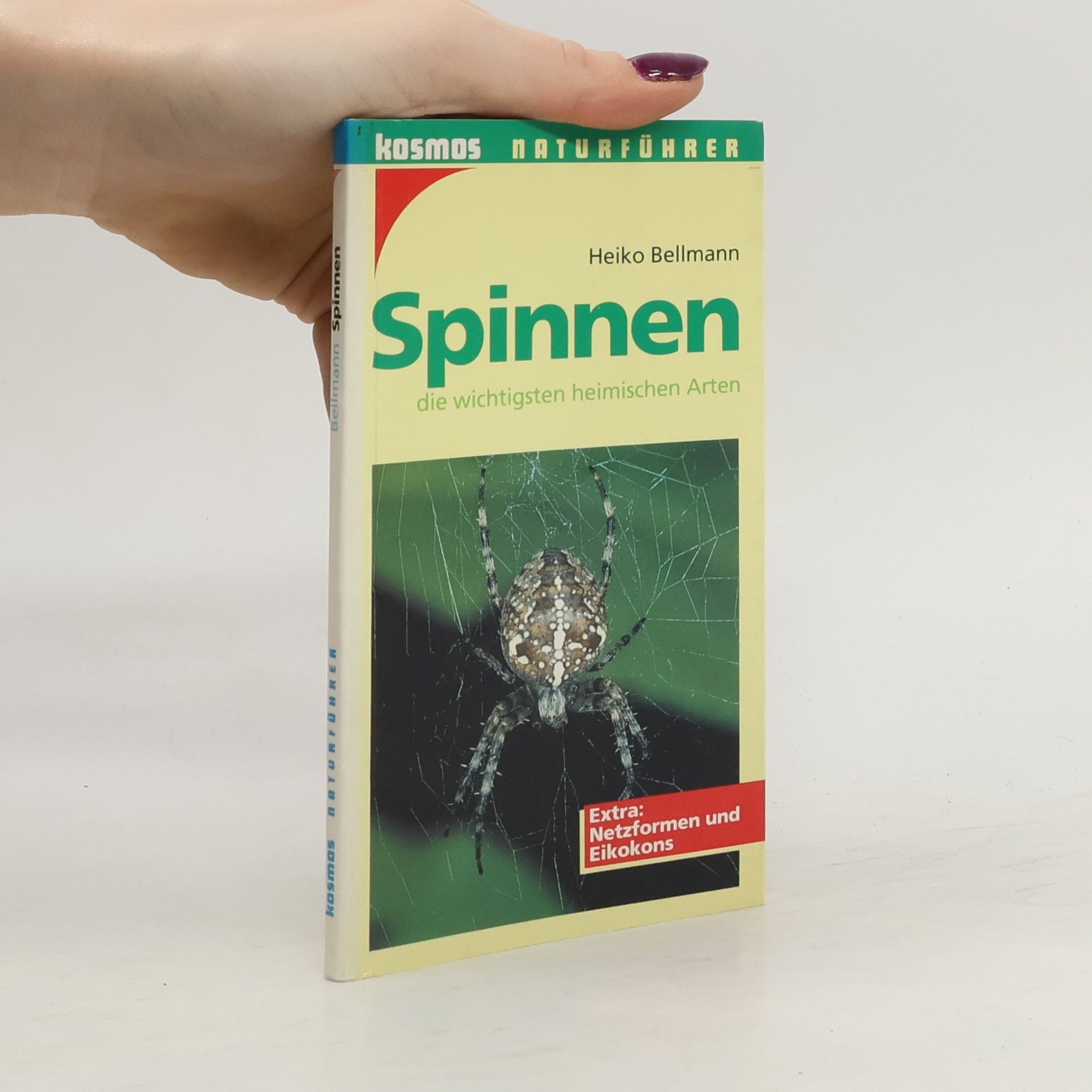 Heiko Bellmann Spinnen