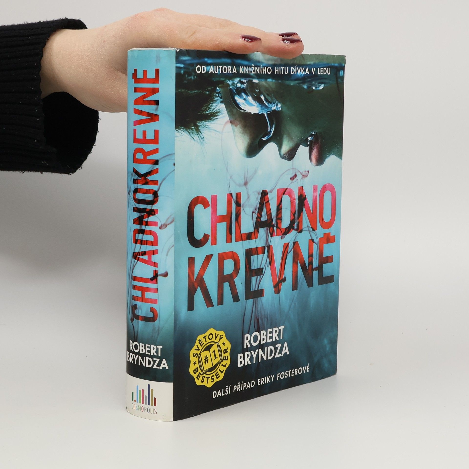 Robert Bryndza Chladnokrevně