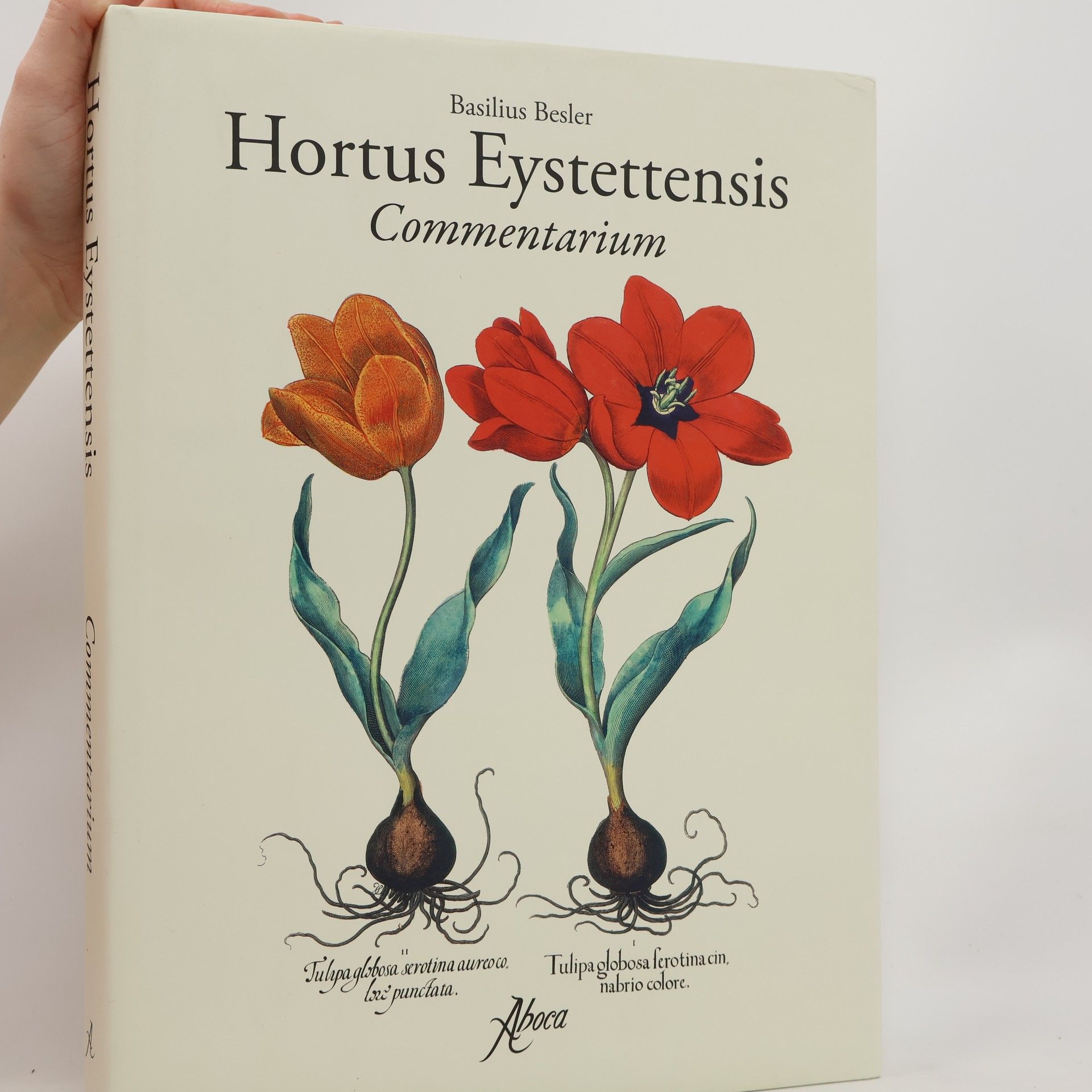 Basilius Besler Hortus Eystettensis