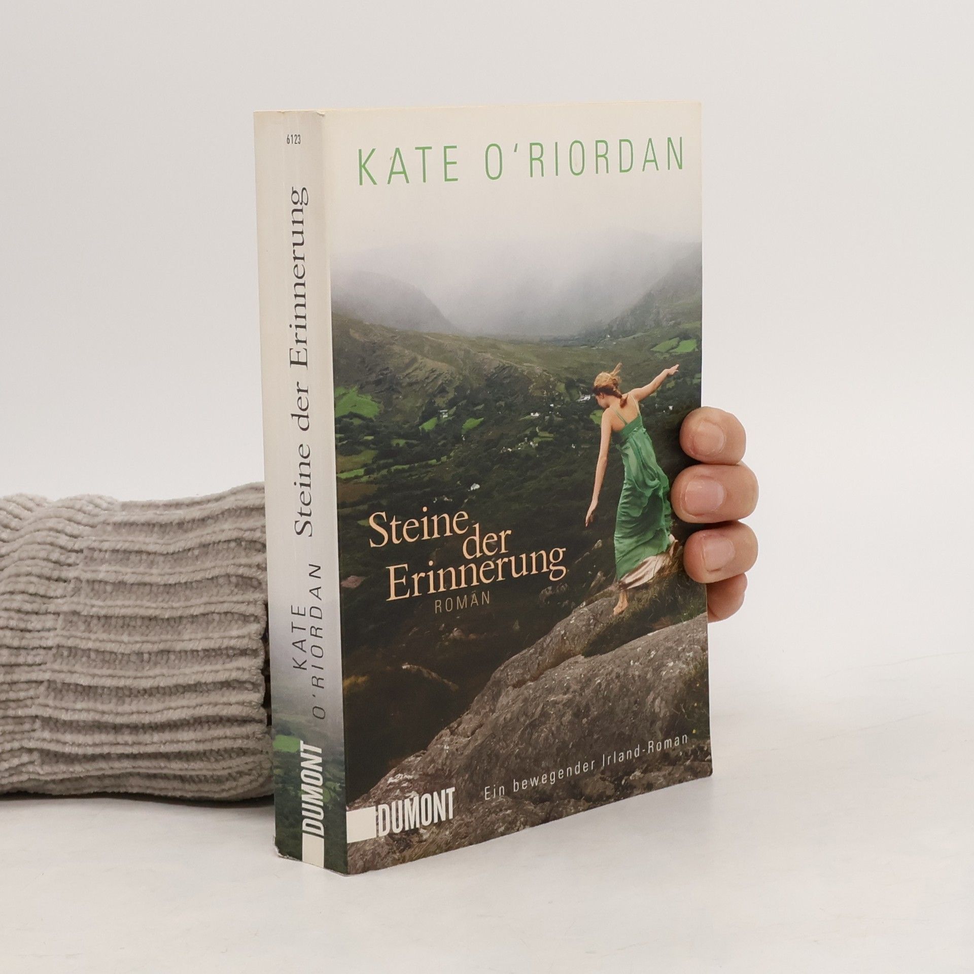 Kate O. Riordan Steine der Erinnerung