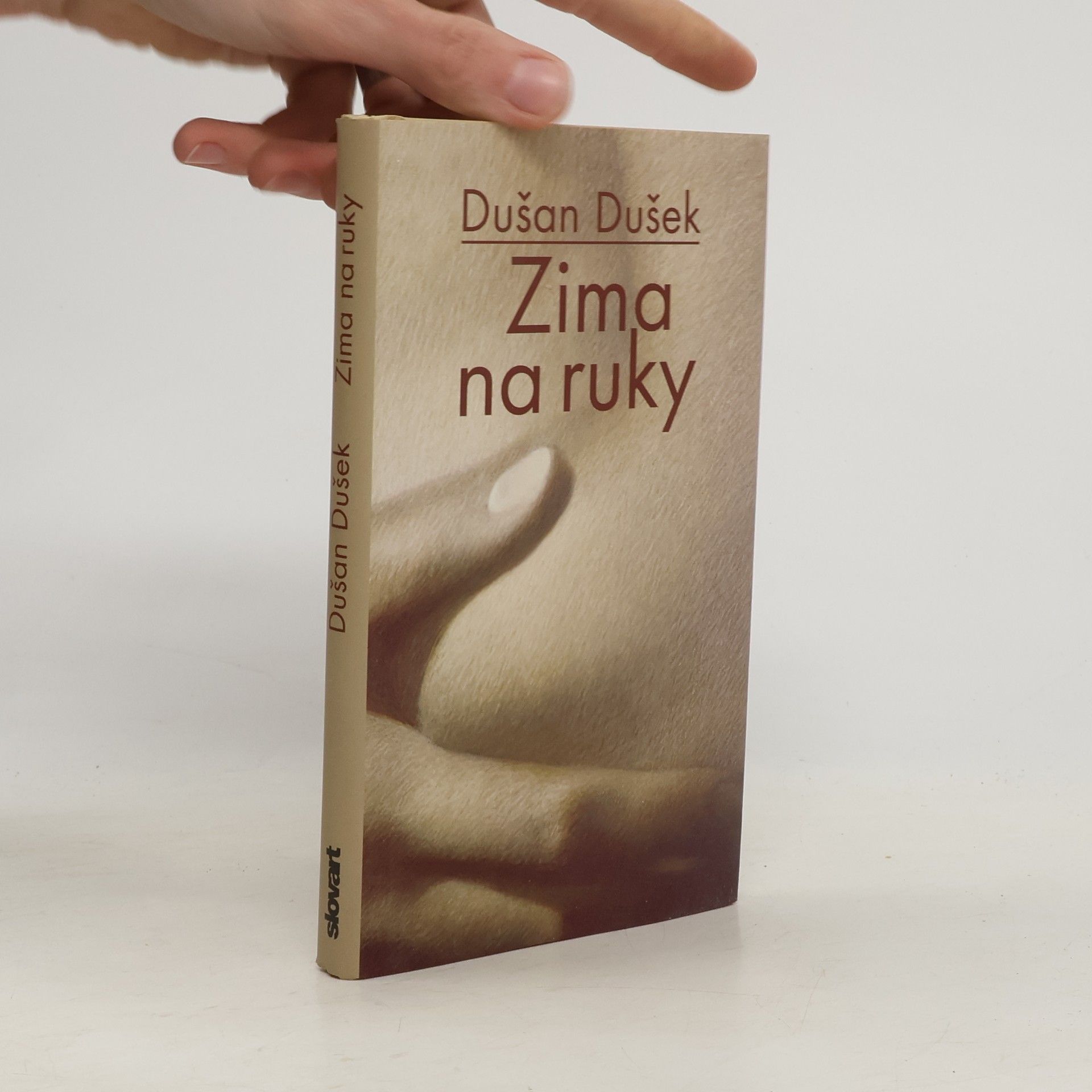 Dušan Dušek Zima na ruky