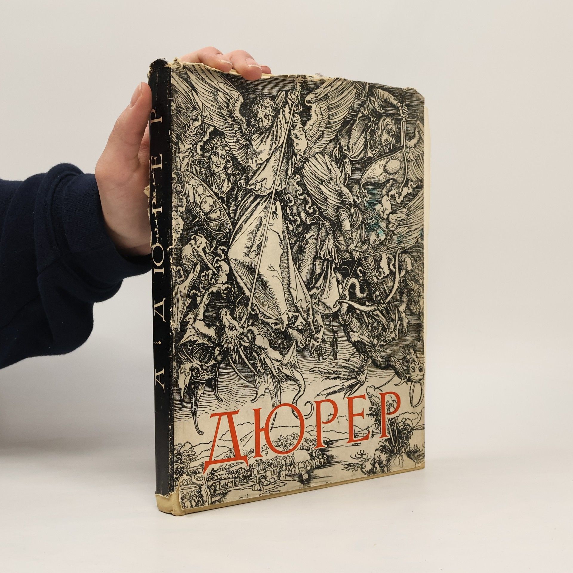 Cecilia G. Nesselstrauss Альбрехт Дюрер