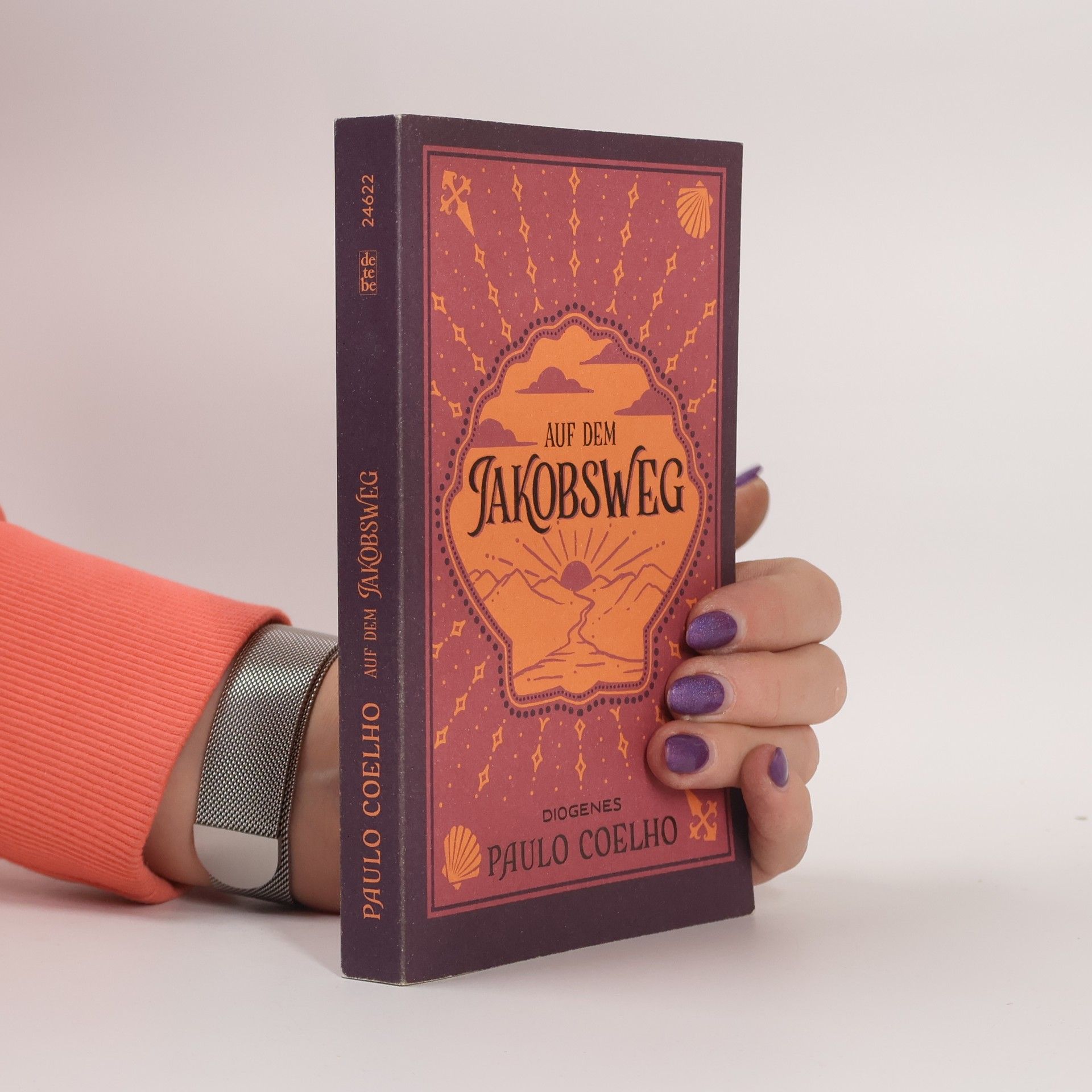 Paulo Coelho Auf dem Jakobsweg