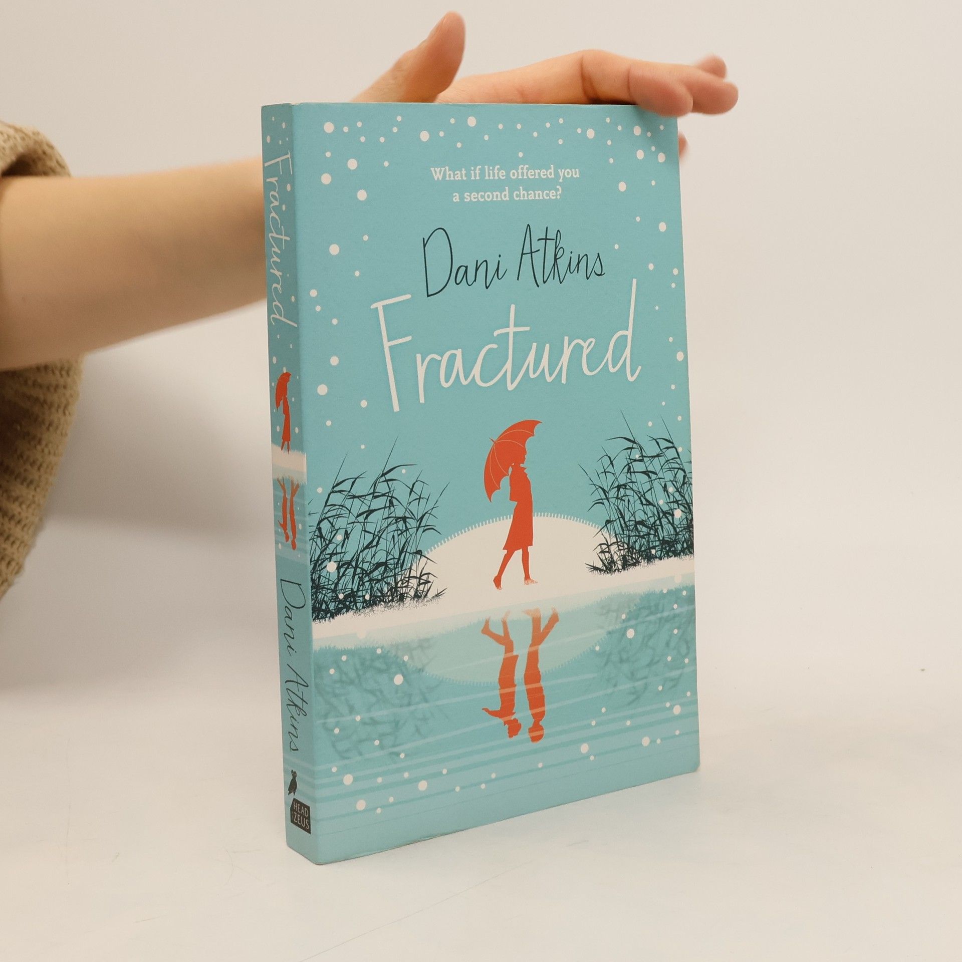 Dani Atkins Fractured