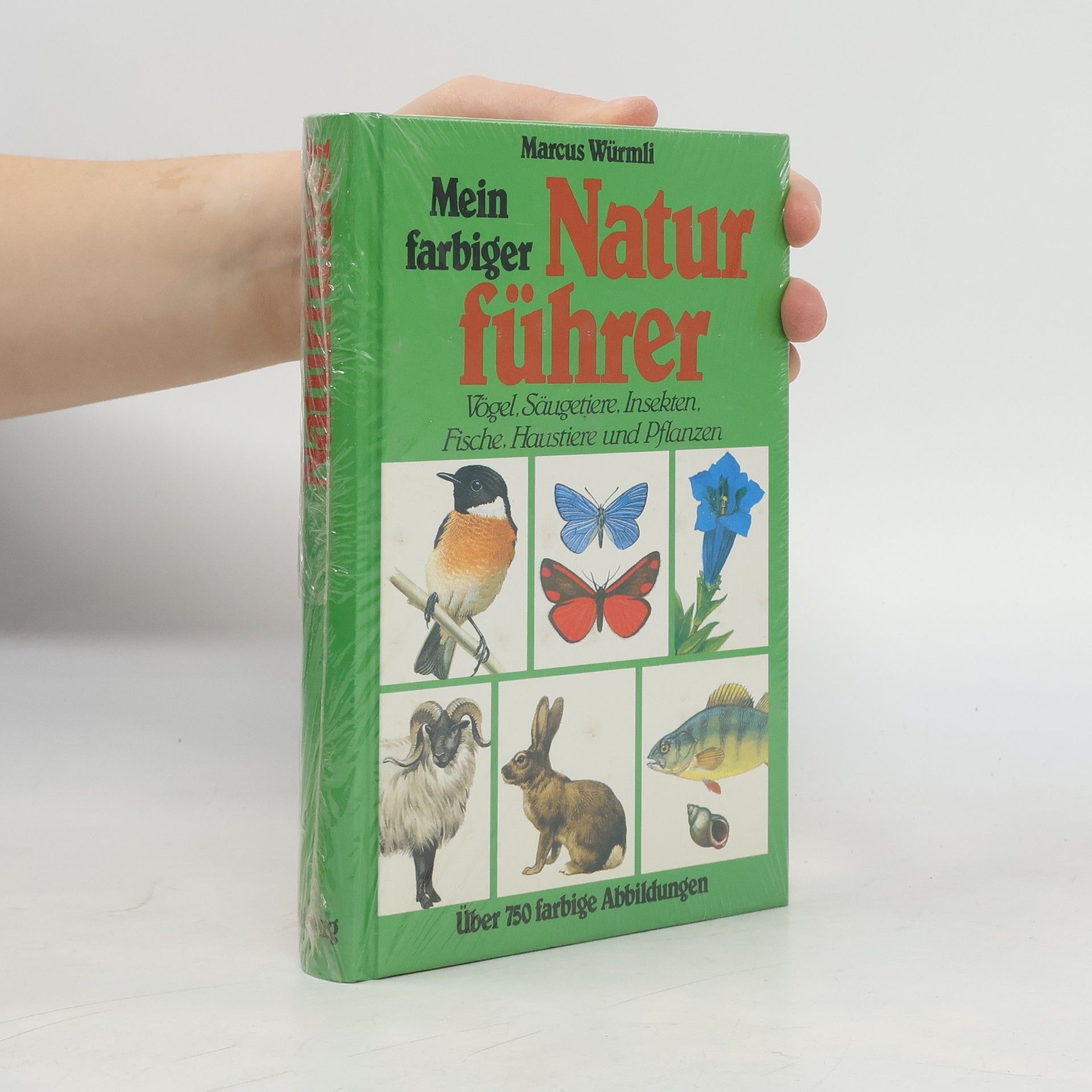 Marcus Würmli Mein farbiger Naturführer