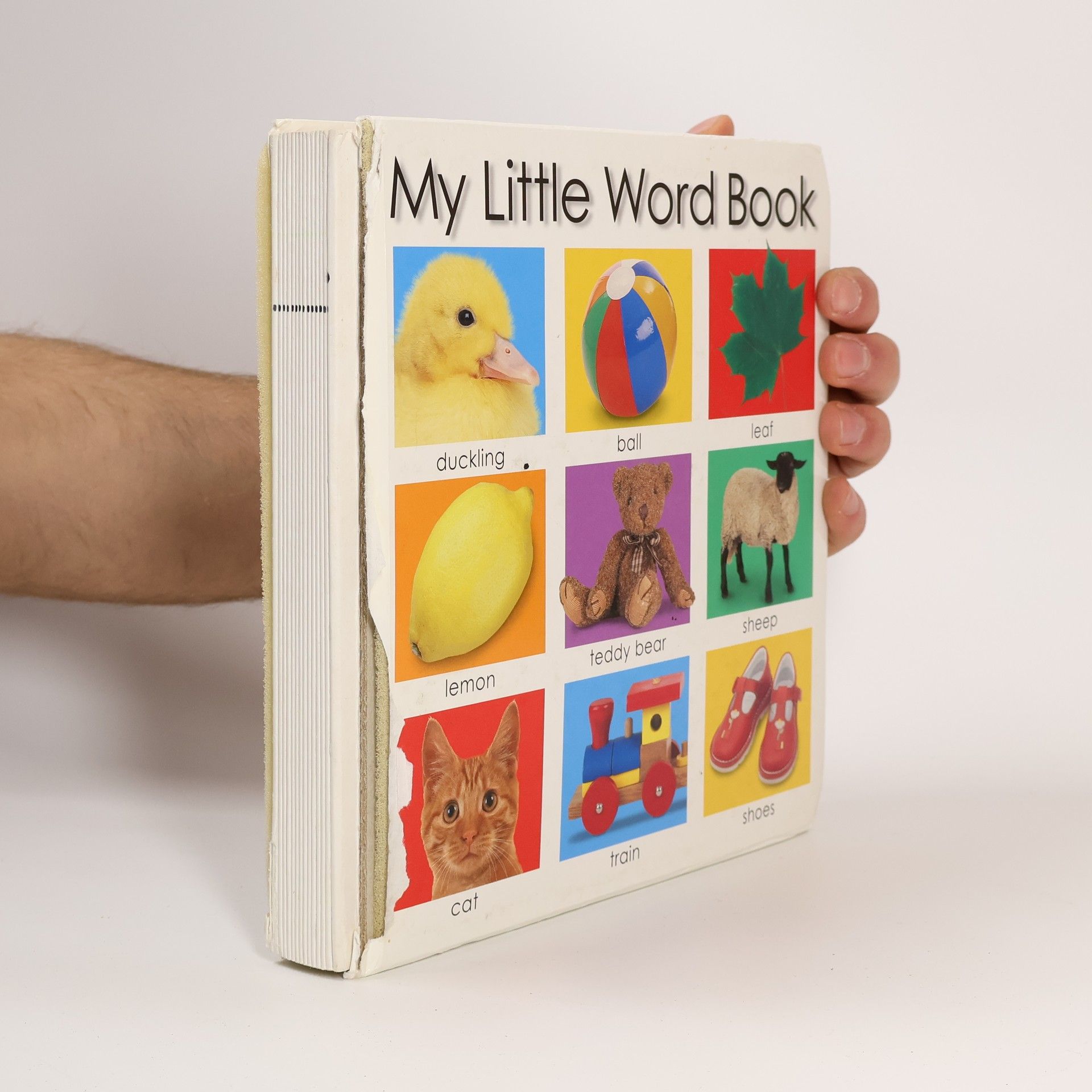 Roger Priddy My Little Word Book