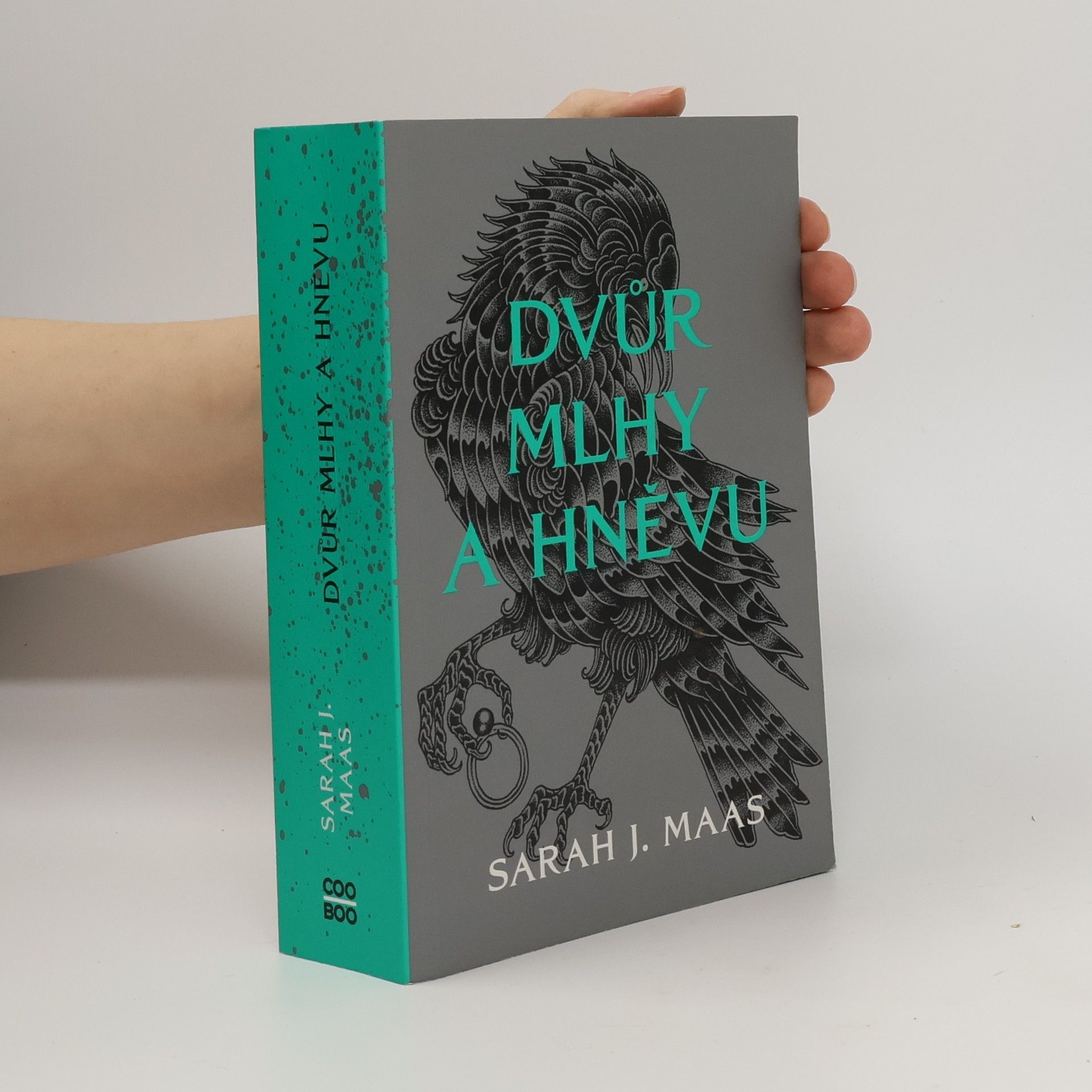 Sarah J. Maas Dvůr mlhy a hněvu