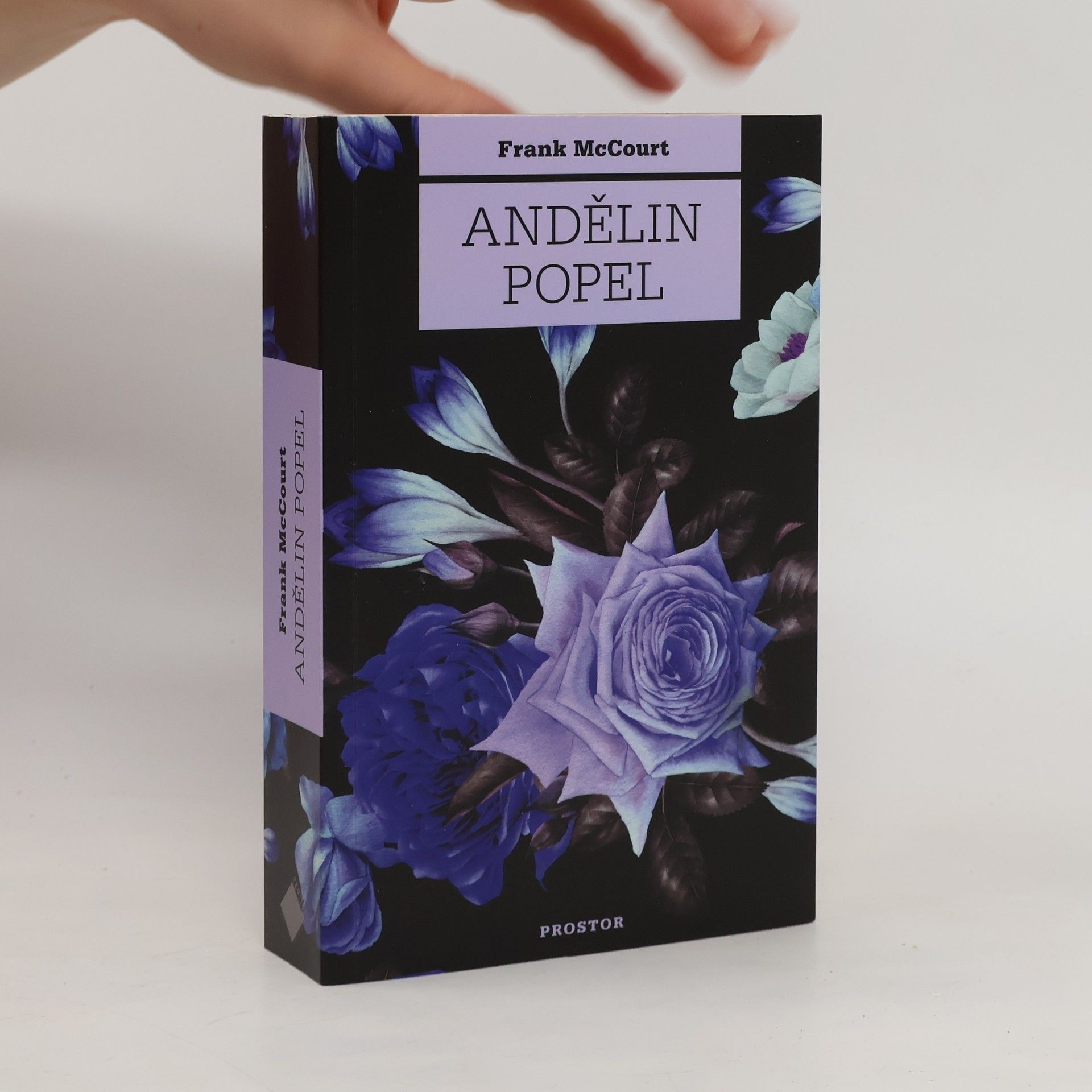 Frank McCourt Andělin popel