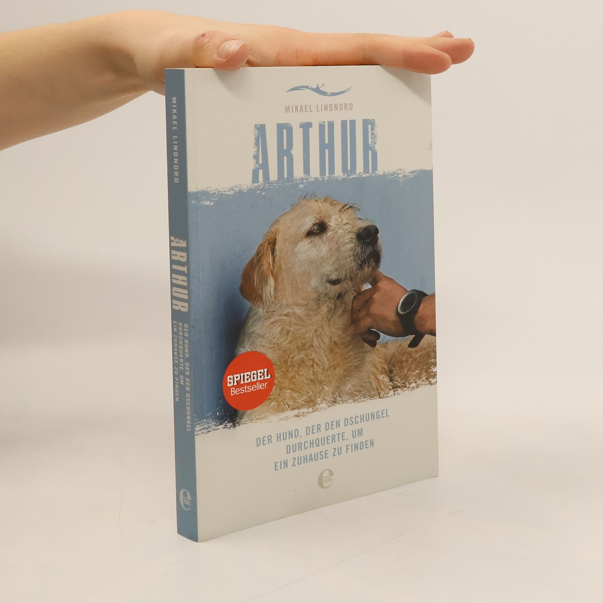 Mikael Lindnord Arthur