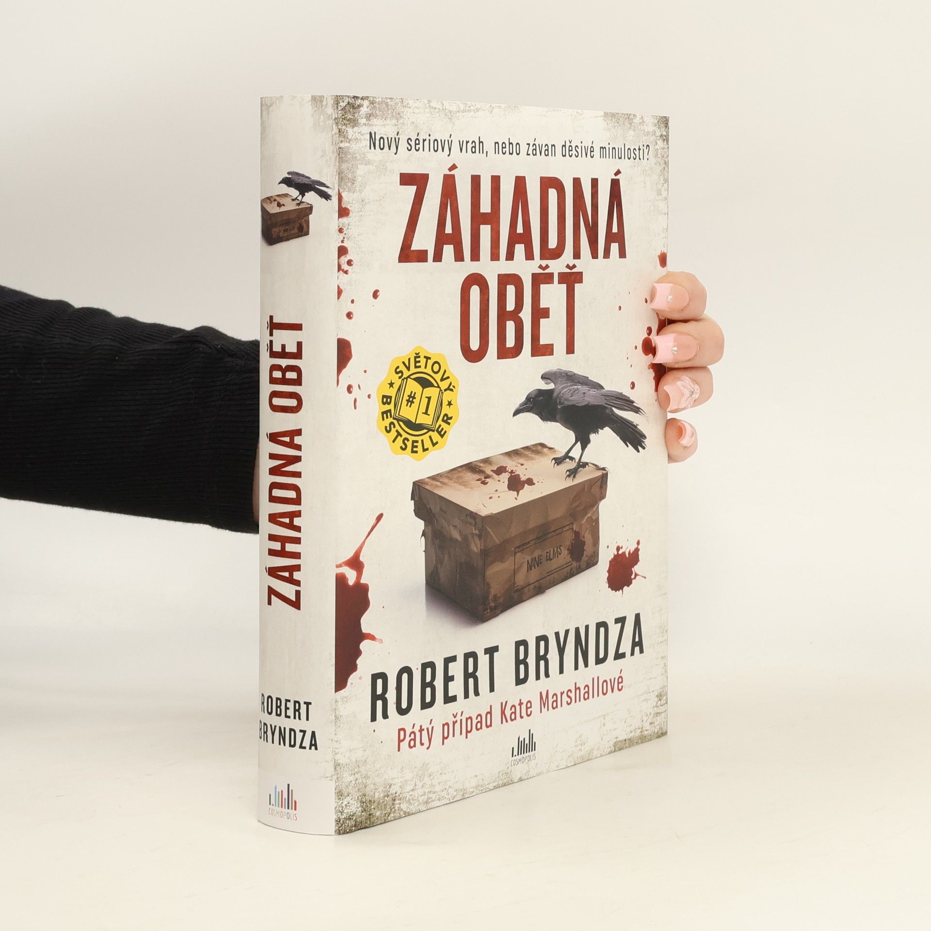 Robert Bryndza Záhadná oběť