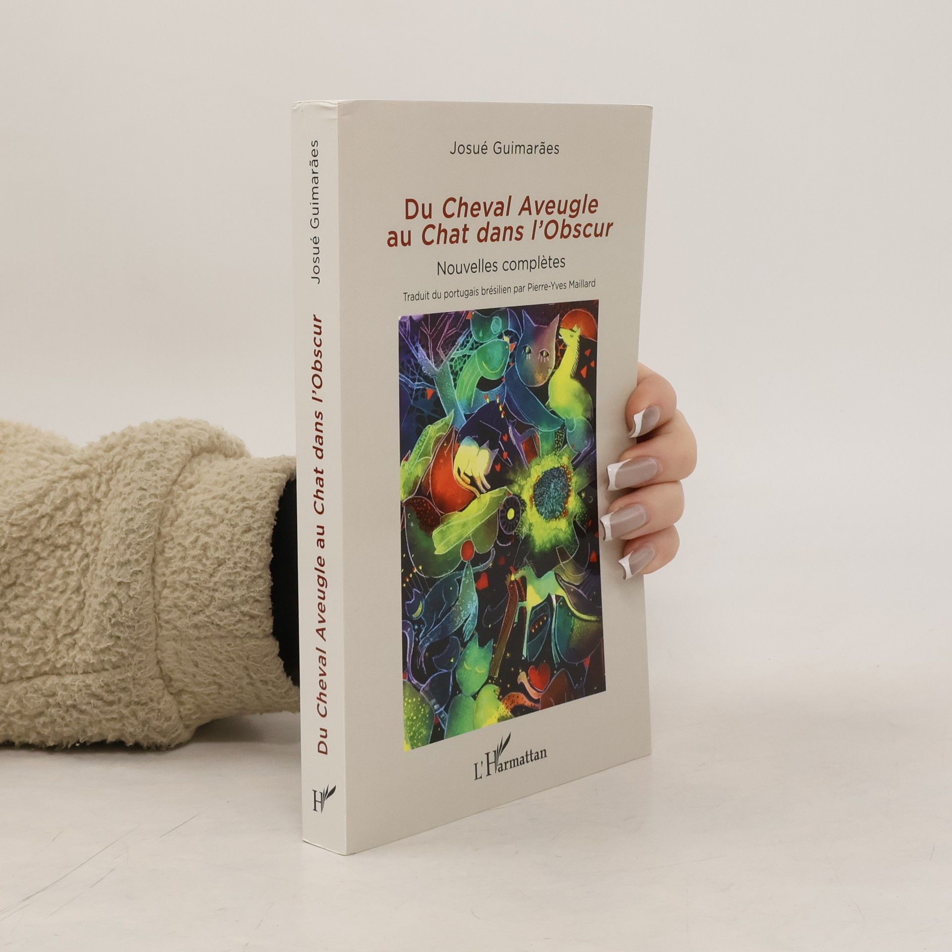 Josué Marques Guimarães Du Cheval Aveugle au Chat dans l'Obscur