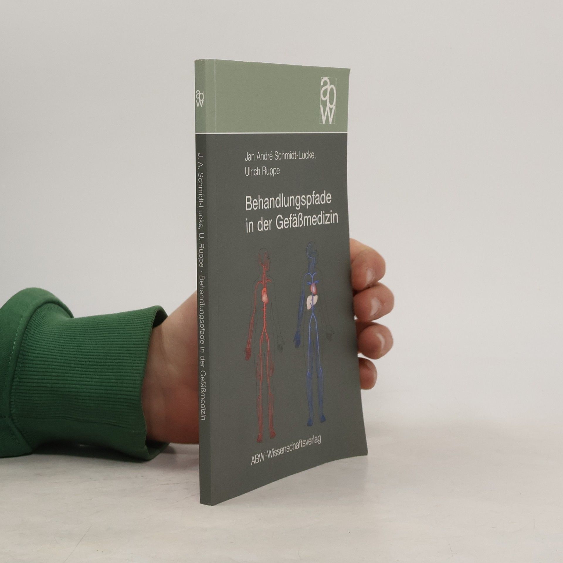 Jan Andre Schmidt Lucke Behandlungspfade in der Gefäßmedizin