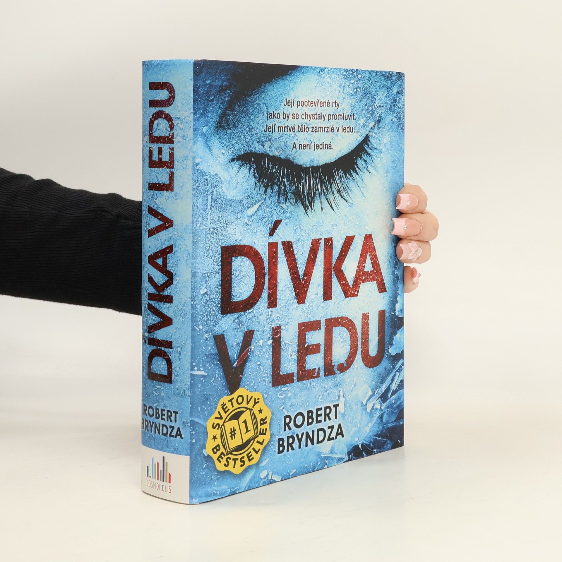 Dívka v ledu