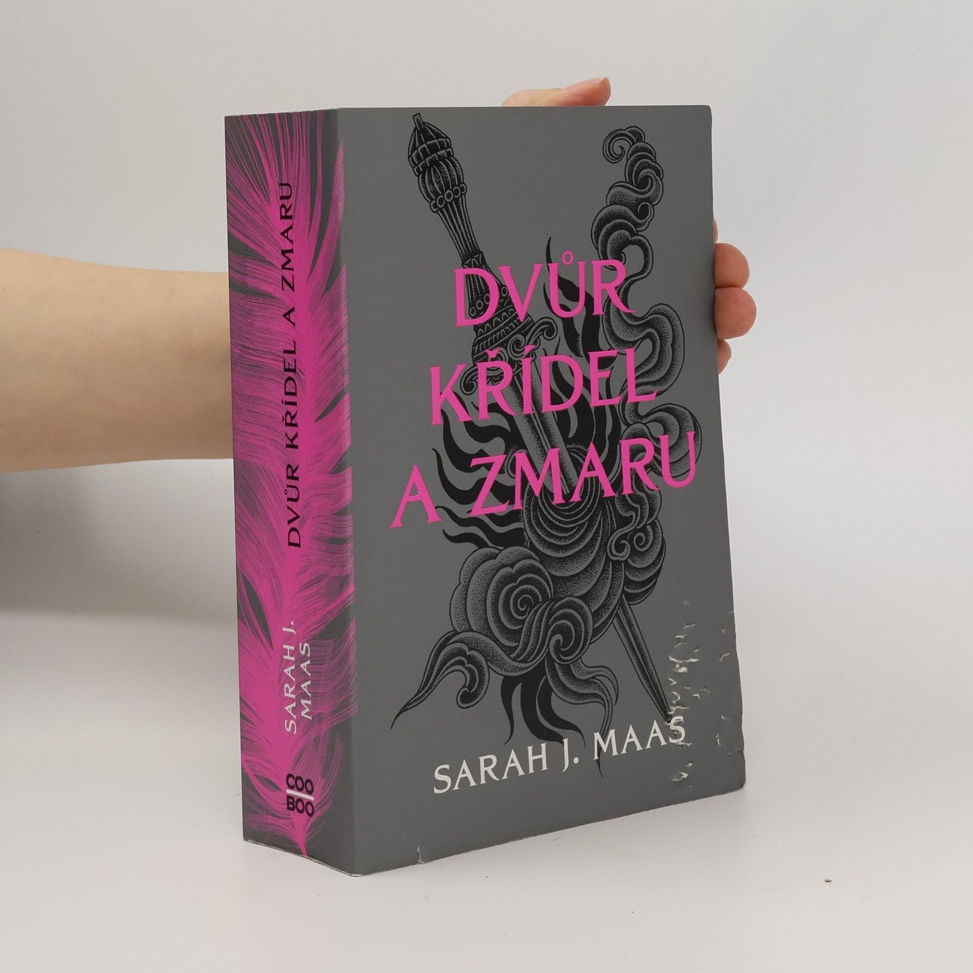 Sarah J. Maasová Dvůr křídel a zmaru