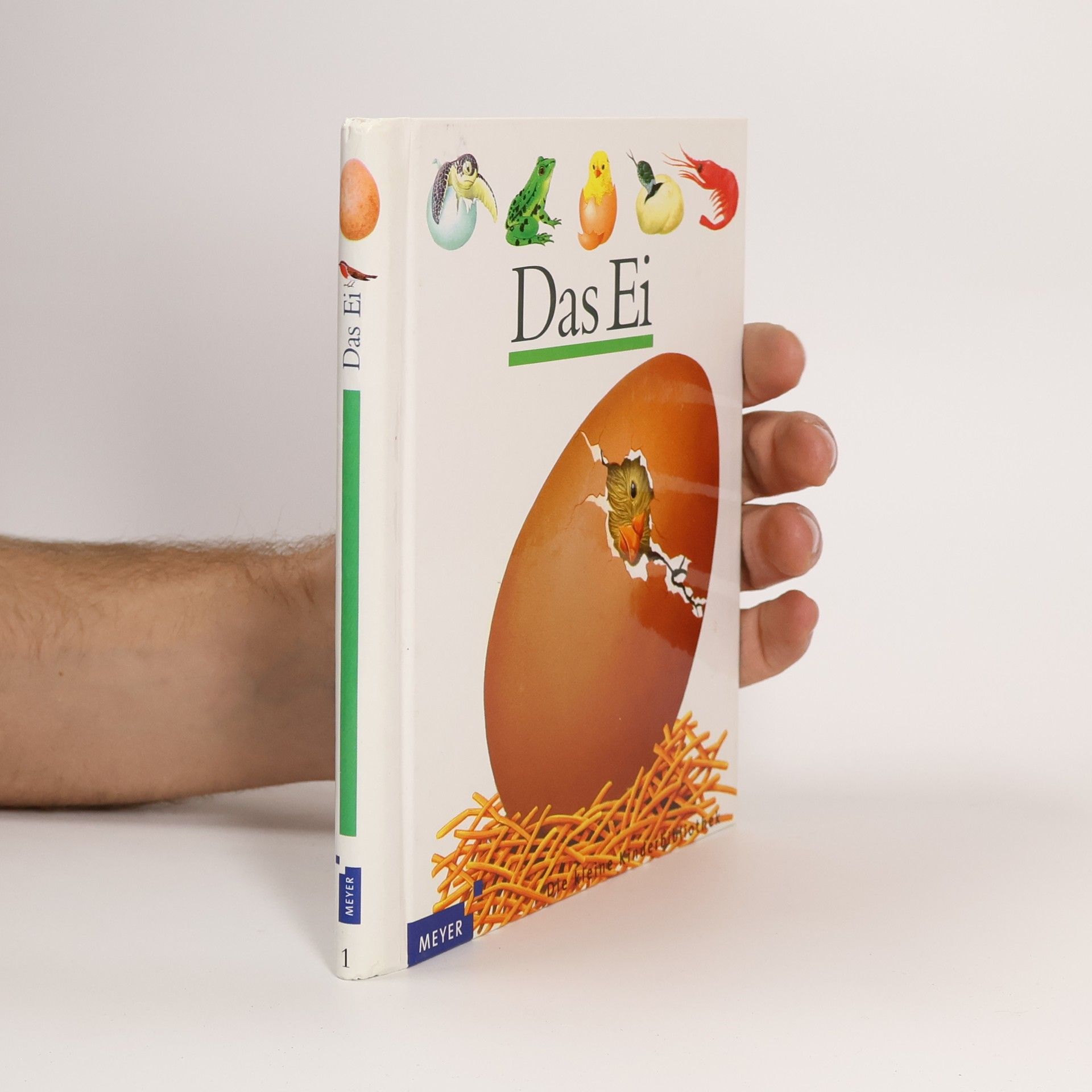 Autorenkollektiv Das Ei