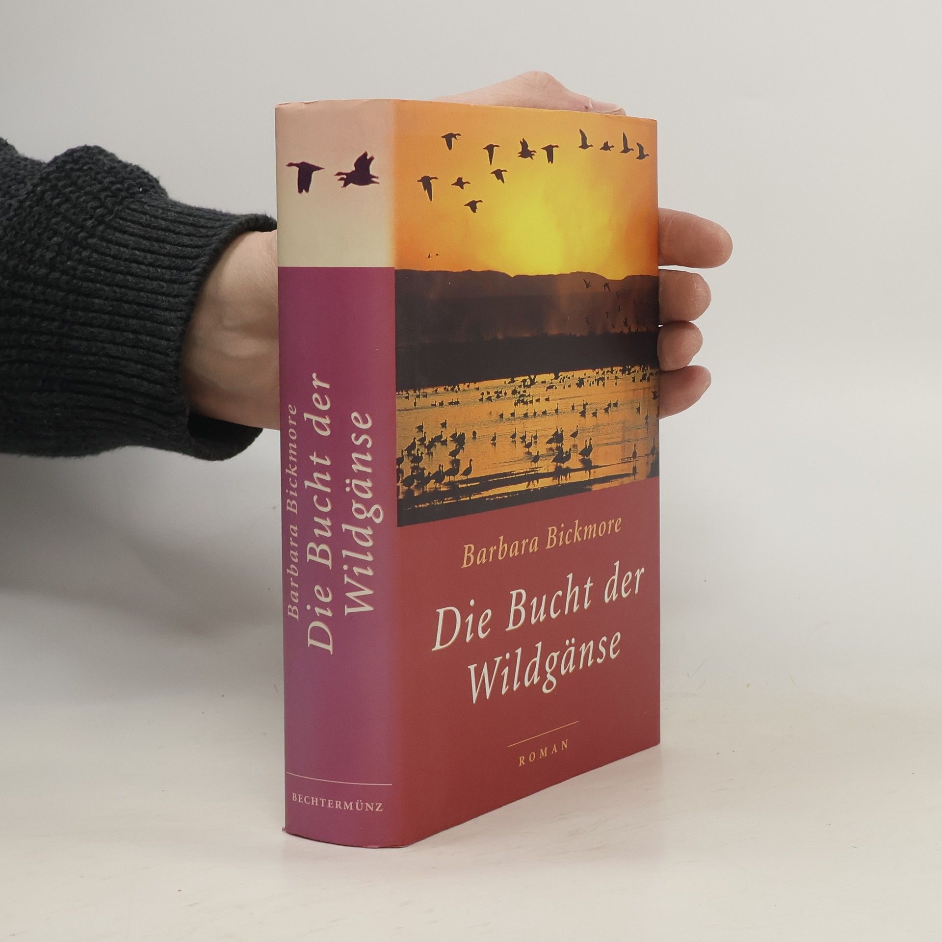Barbara Bickmore Die Bucht der Wildgänse