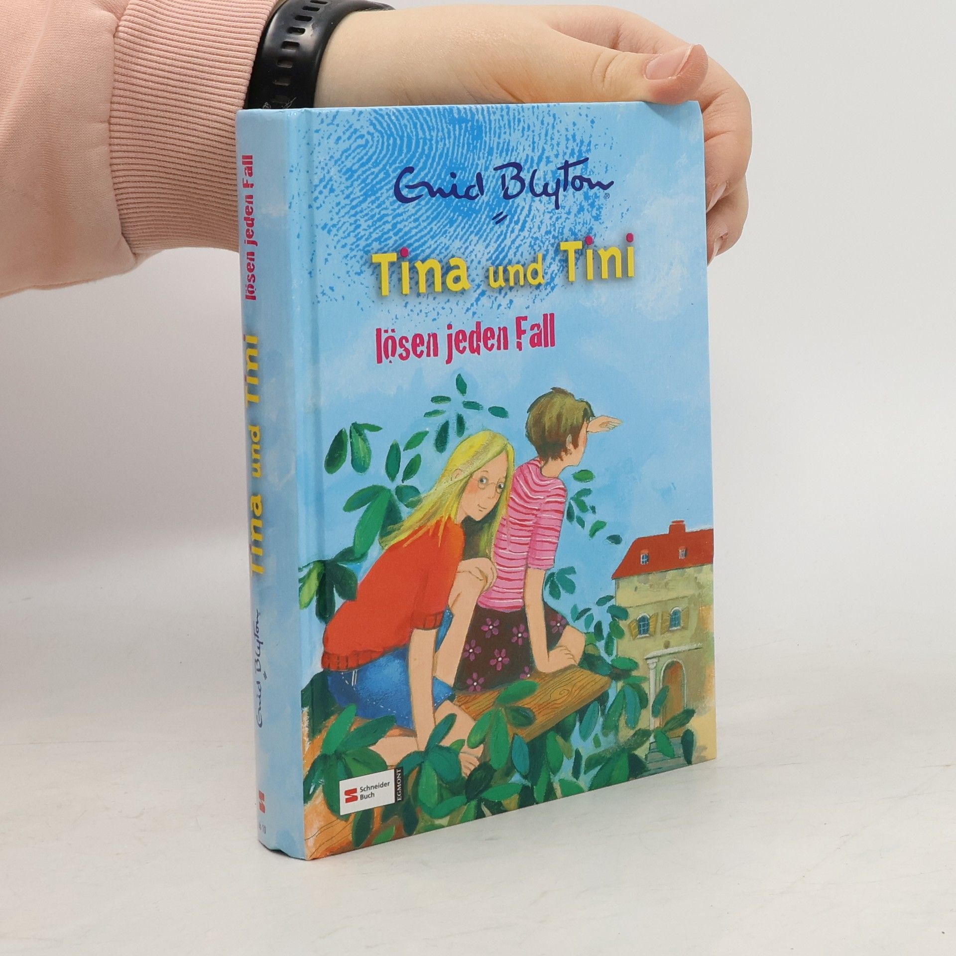 Enid Blyton Tina und Tini lösen jeden Fall