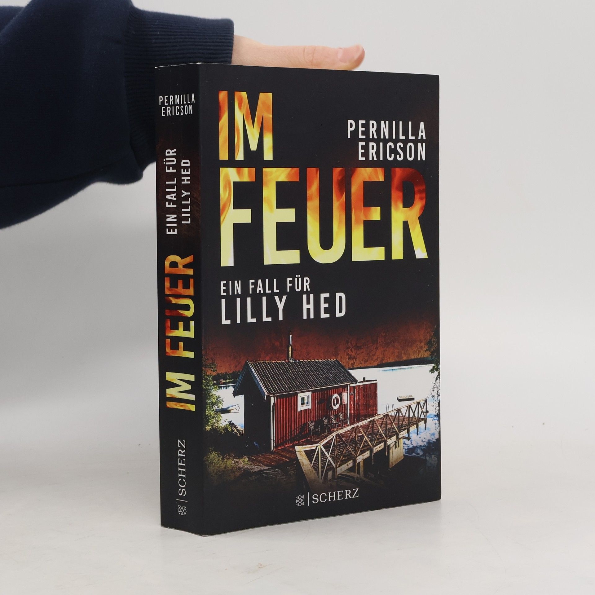 Pernilla Ericson Im Feuer