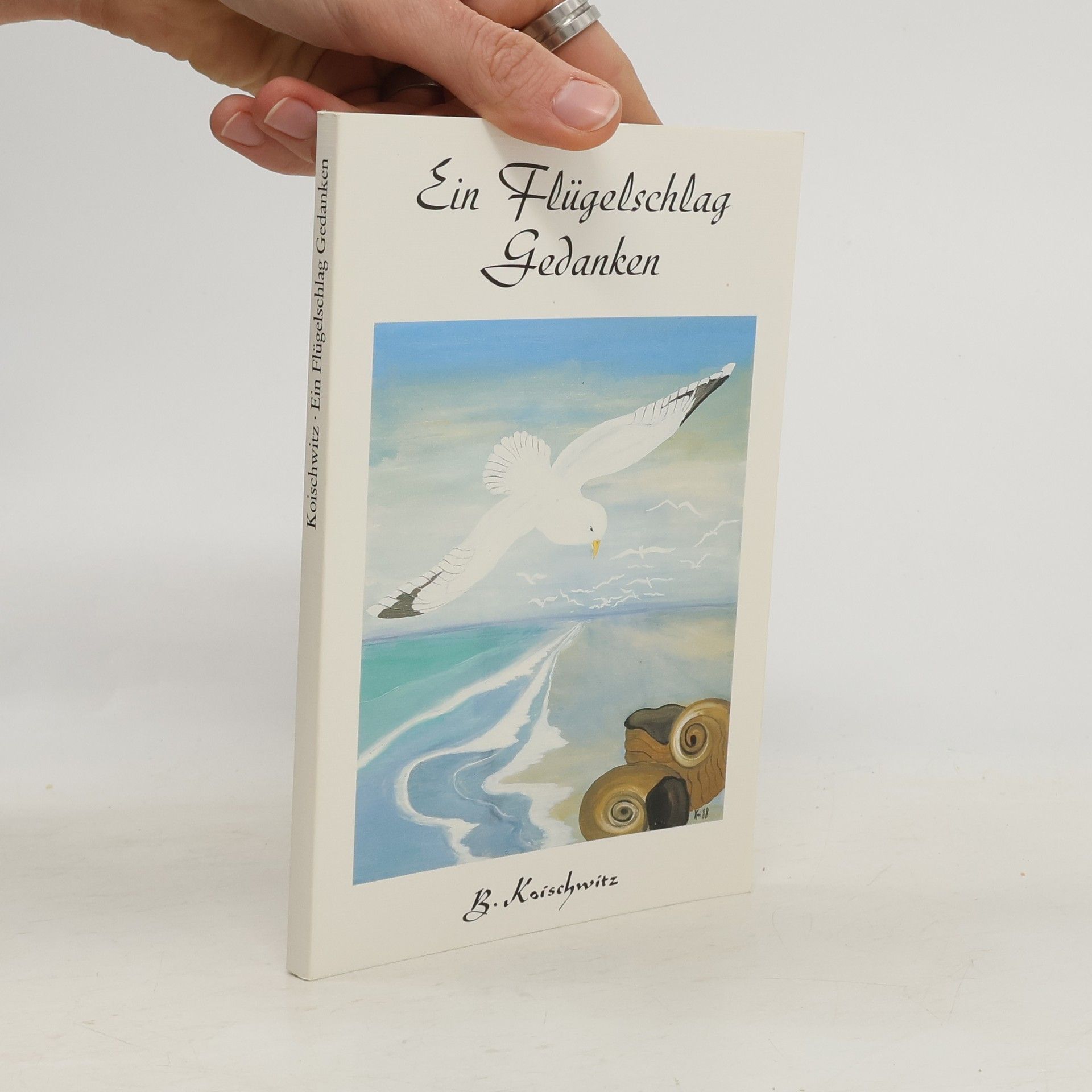 Brigitte Koischwitz Ein Flügelschlag Gedanken
