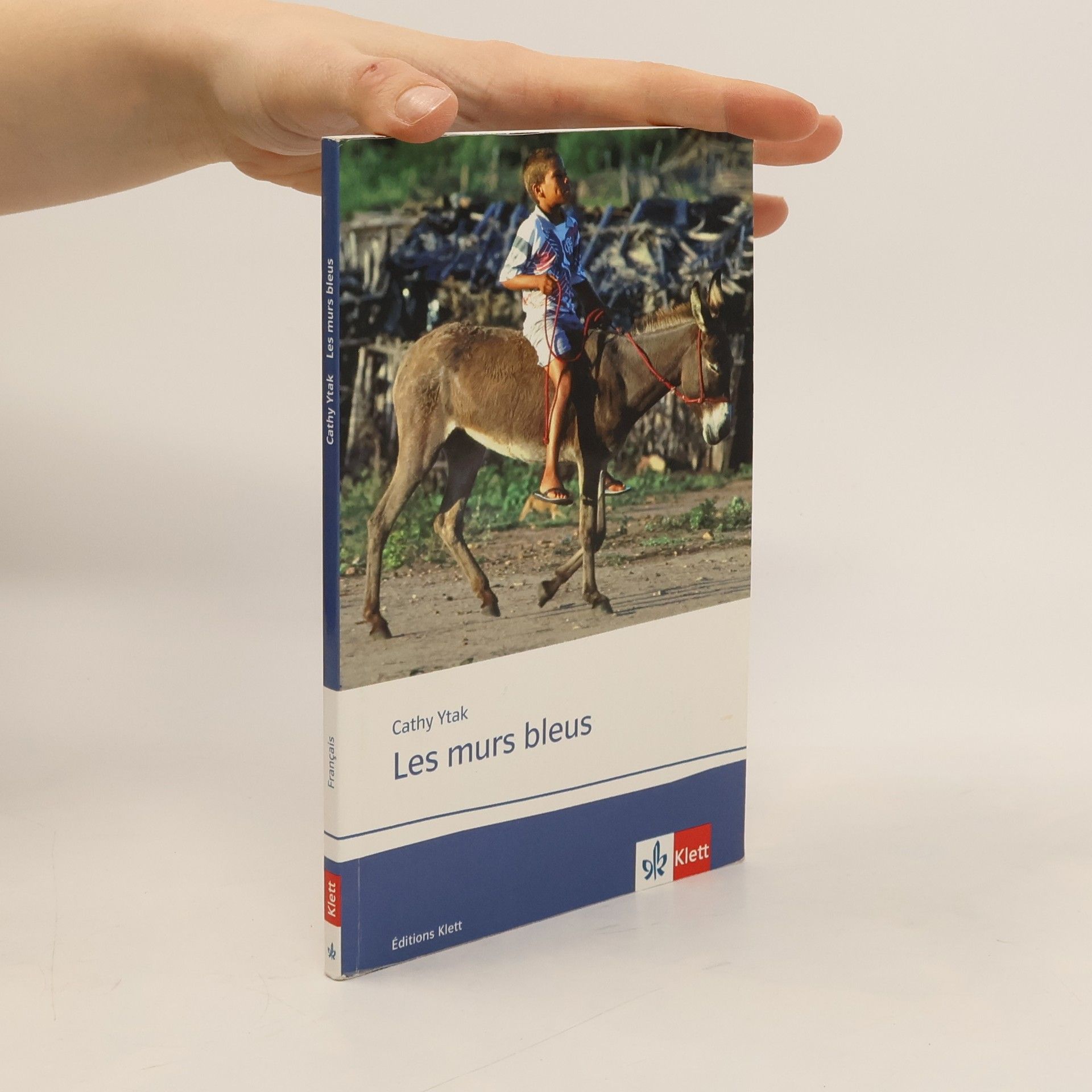 Cathy Ytak Les murs bleus