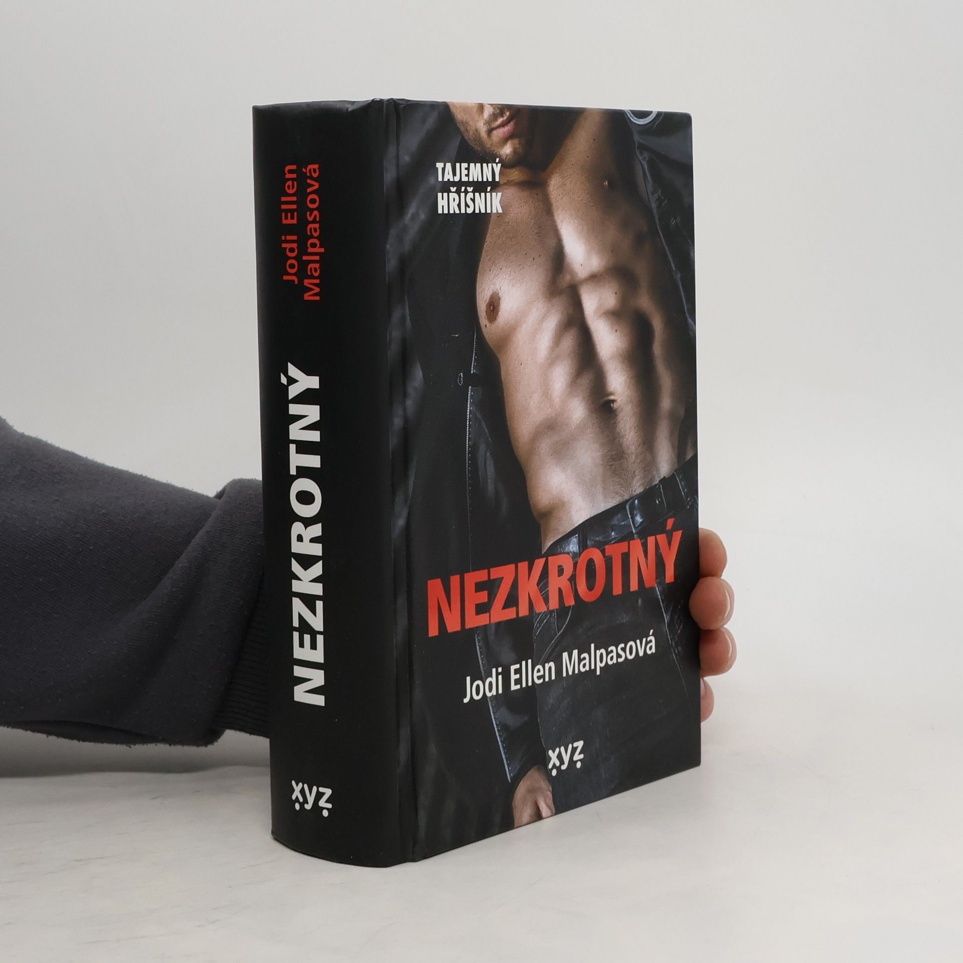 Tajemný hříšník. Nezkrotný