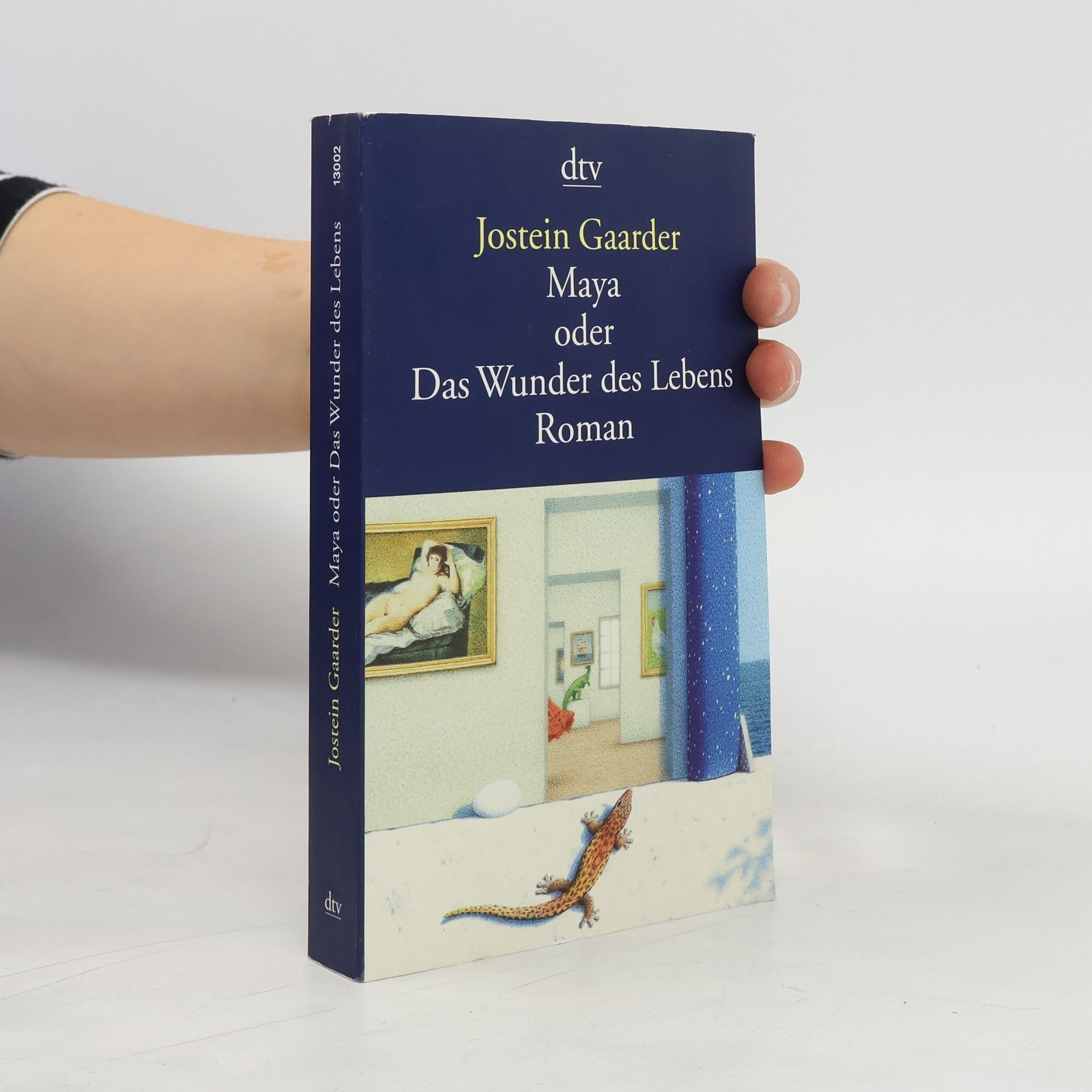 Jostein Gaarder Maya oder Das Wunder des Lebens