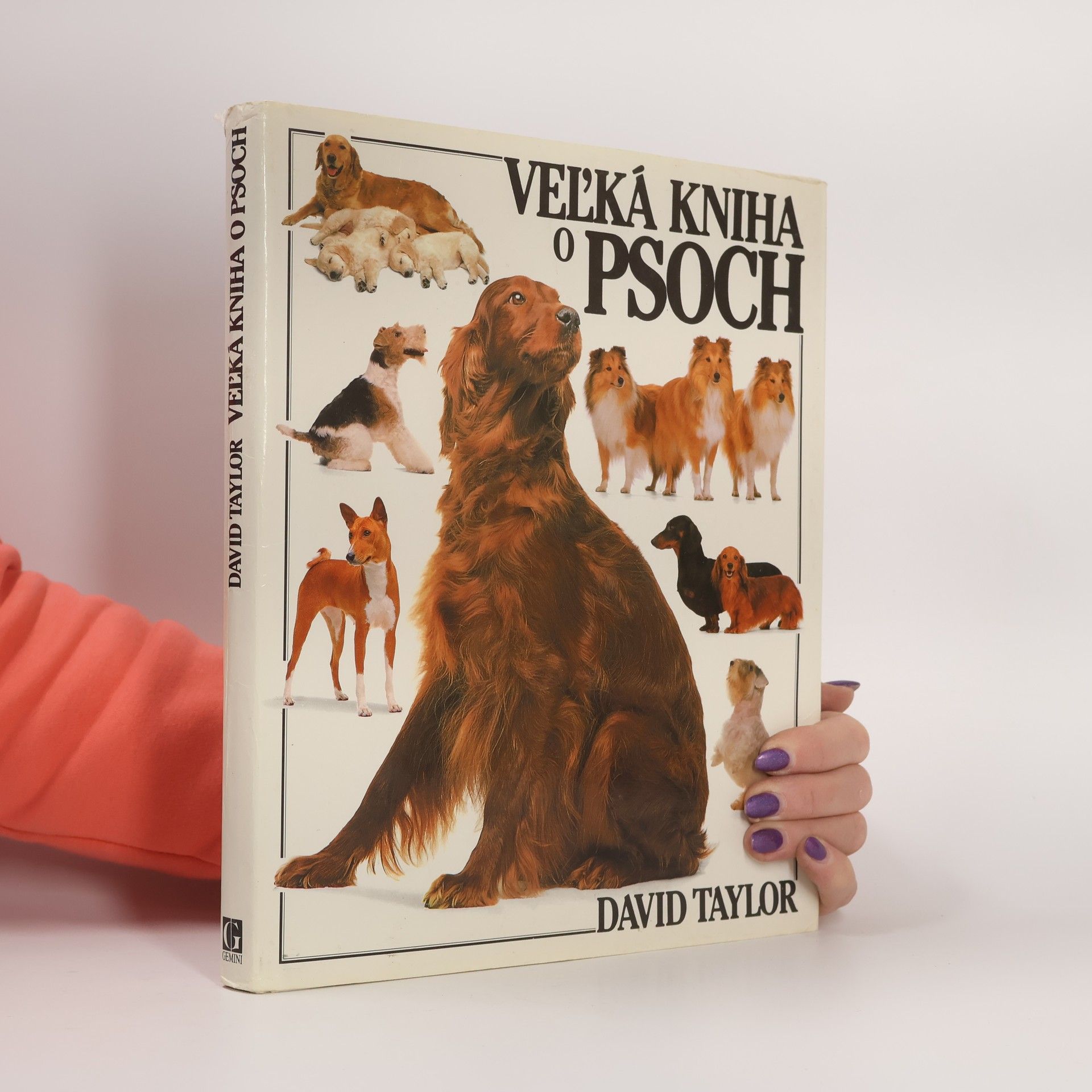 David Conrad Taylor Veľká kniha o psoch