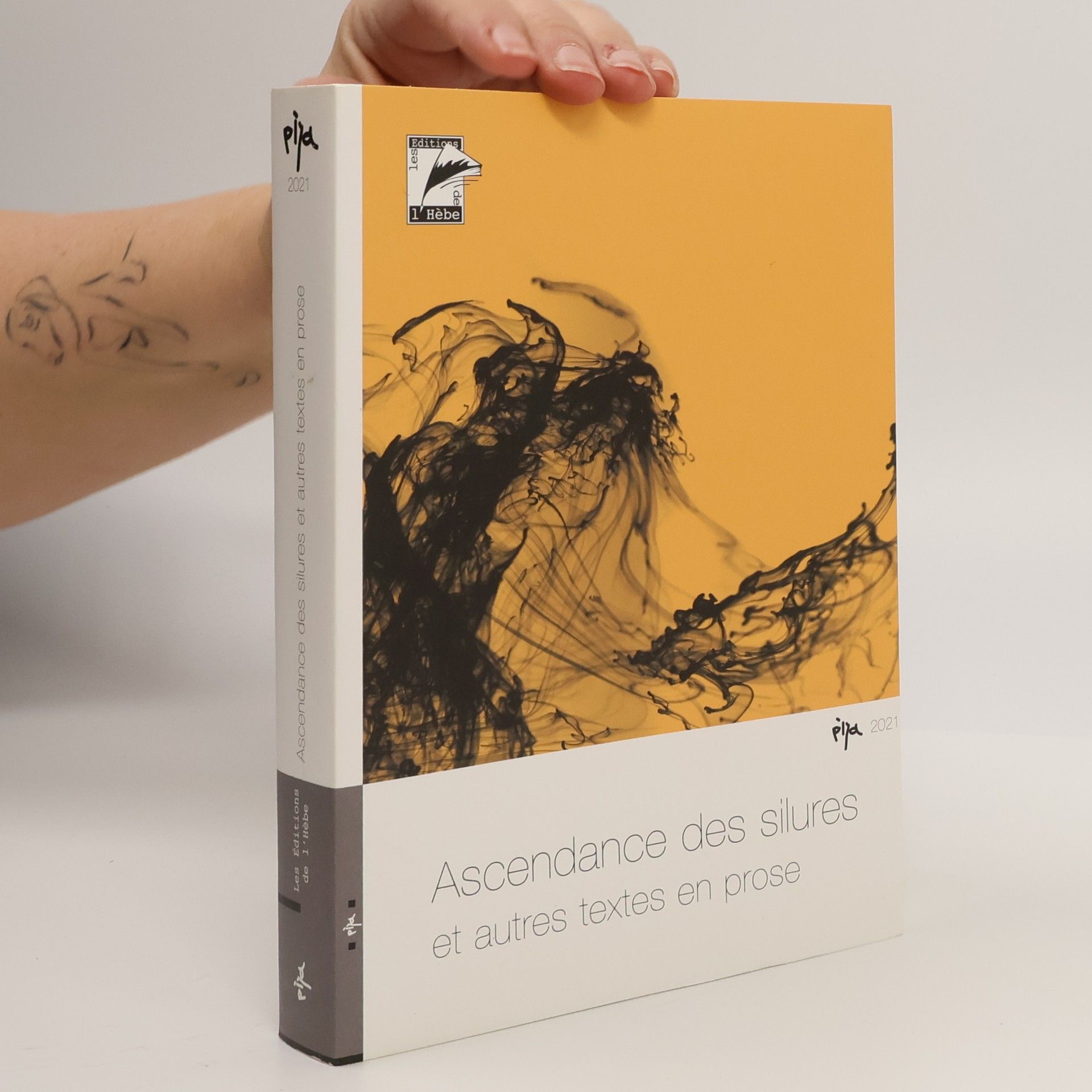 Autorenkollektiv Ascendance des silures