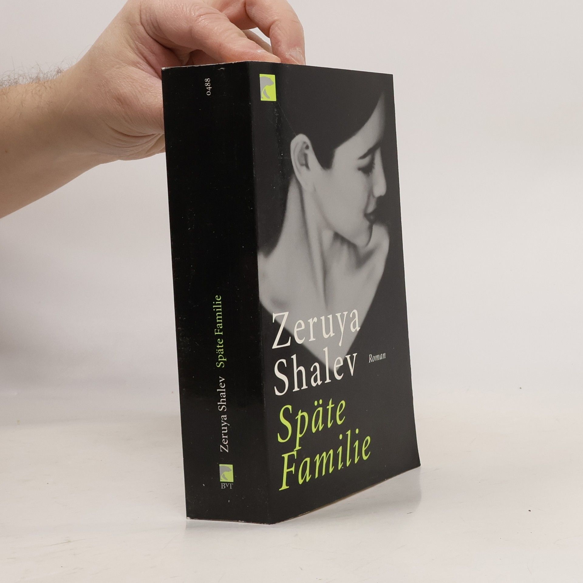 Zeruya Shalev Späte Familie