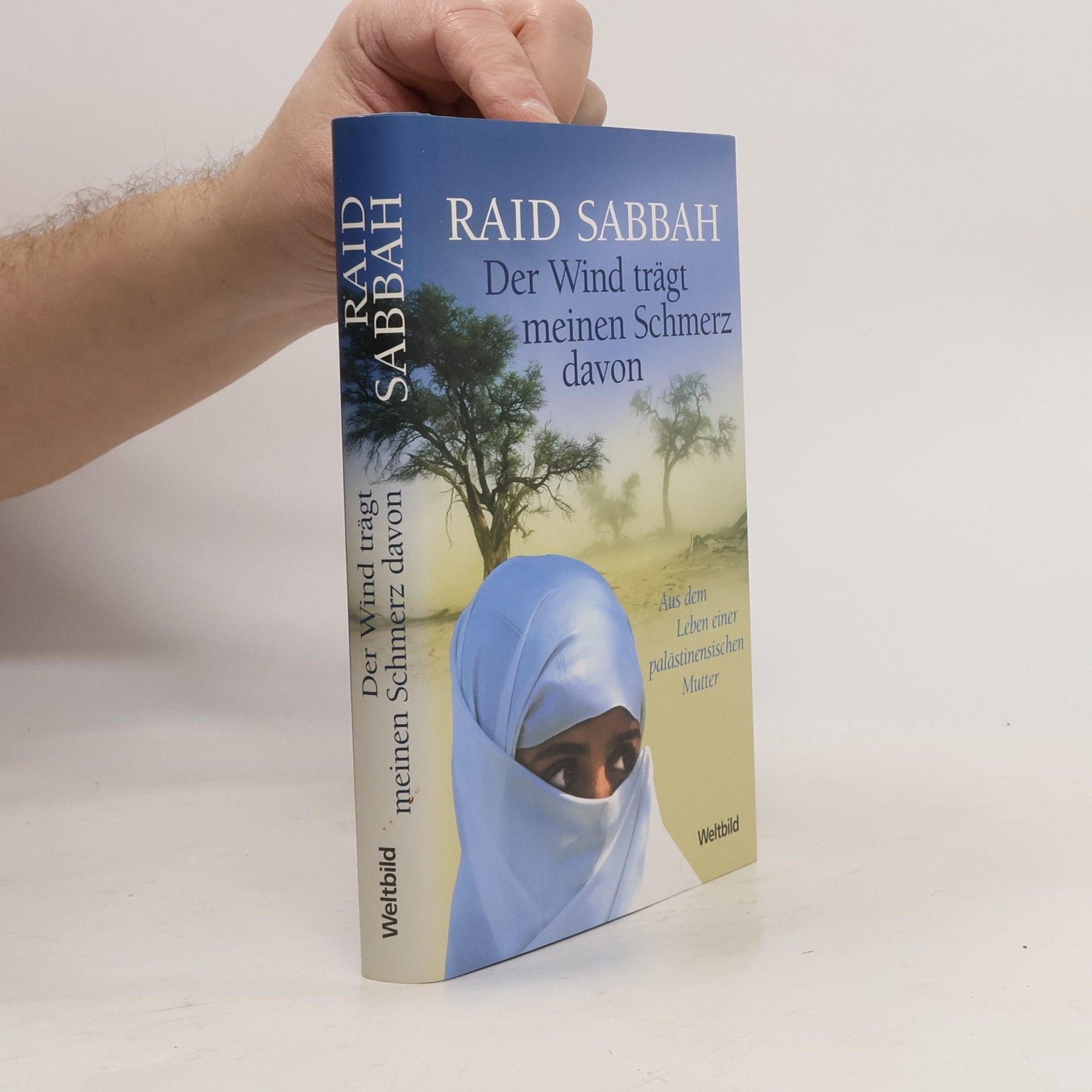 Raid Sabbah Der Wind trägt meinen Schmerz davon