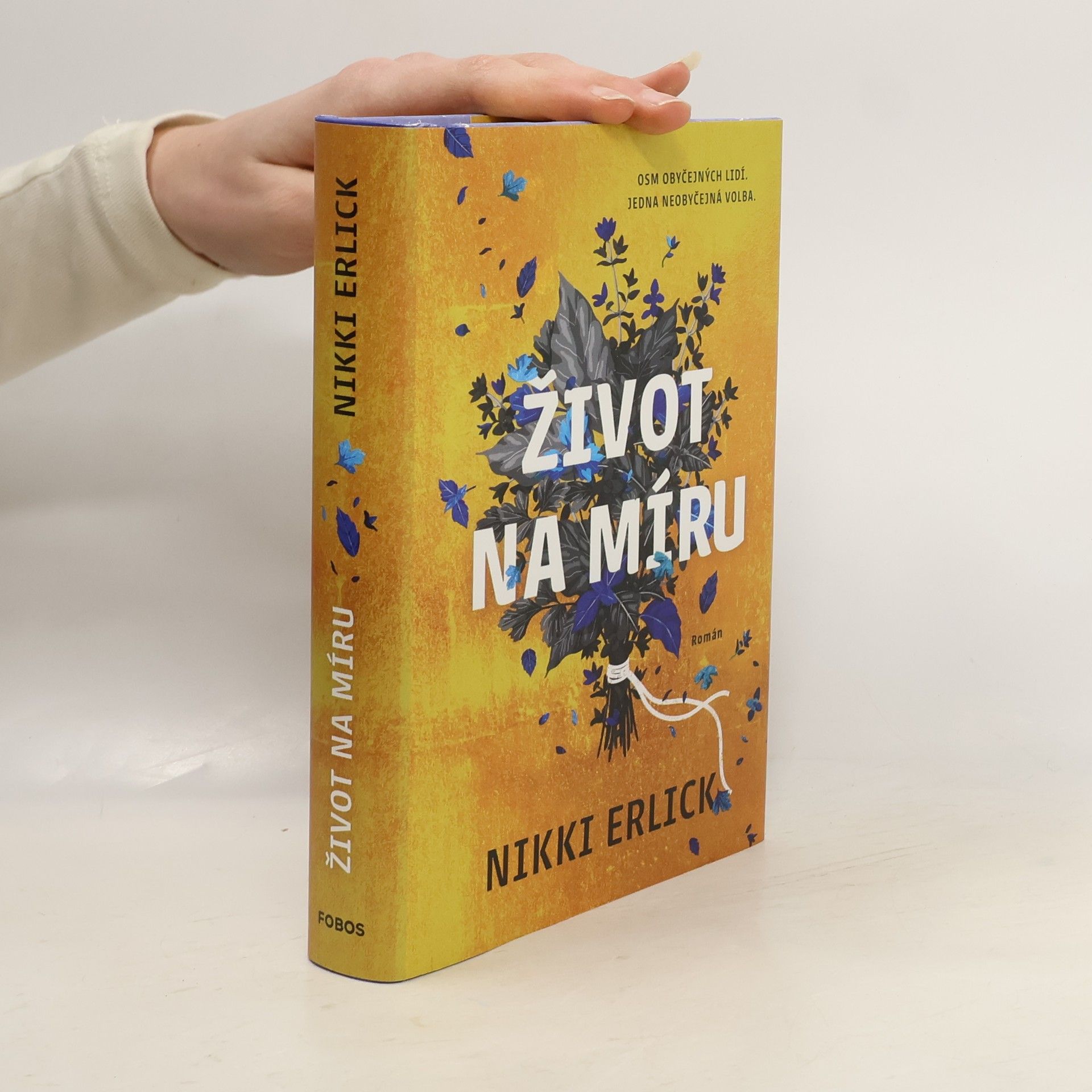 Nikki Erlick Život na míru