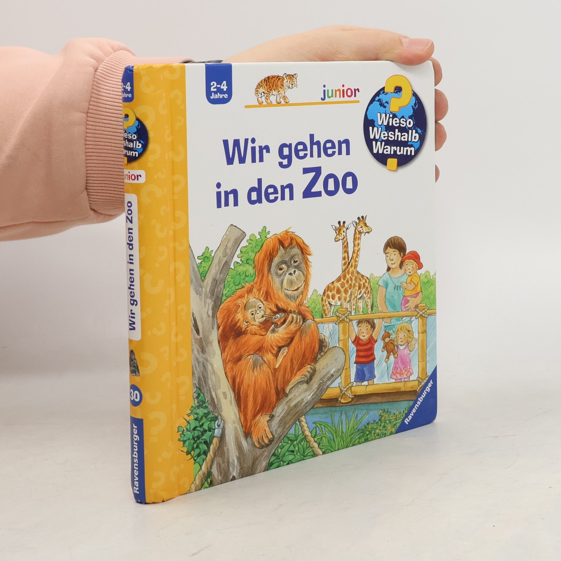 Wir gehen in den Zoo