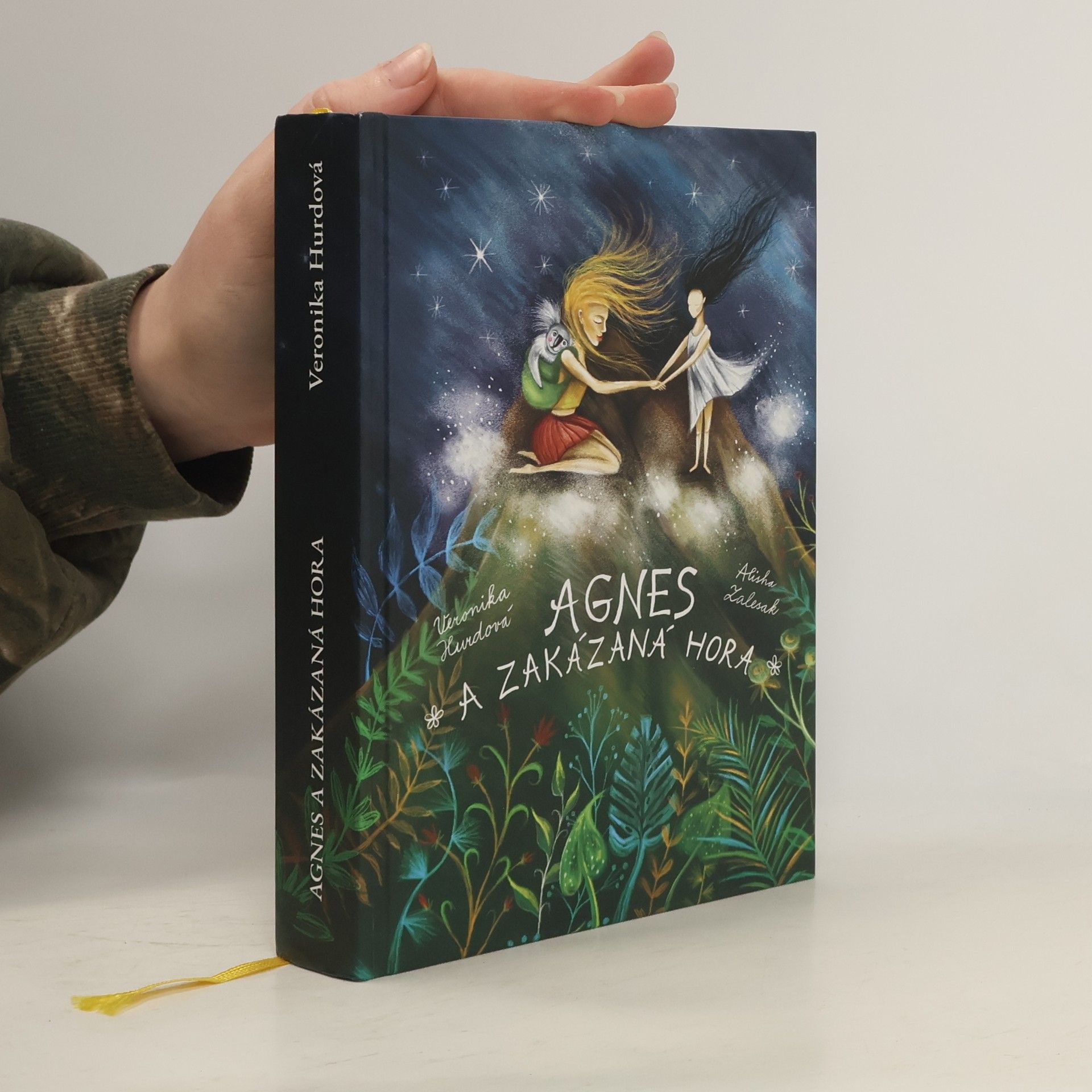 Agnes a Zakázaná hora