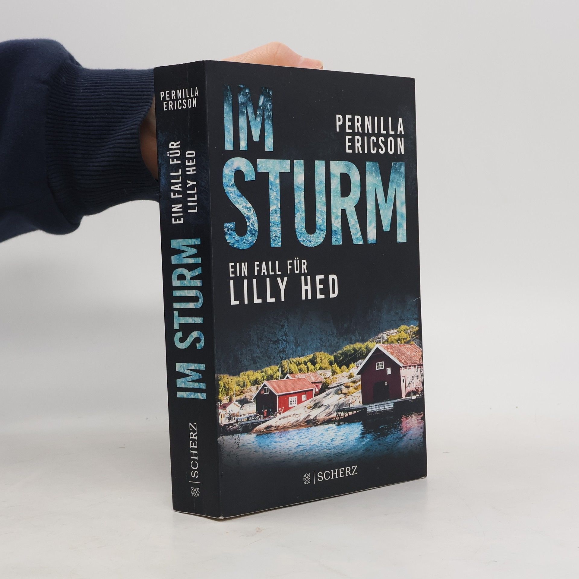 Pernilla Ericson Im Sturm