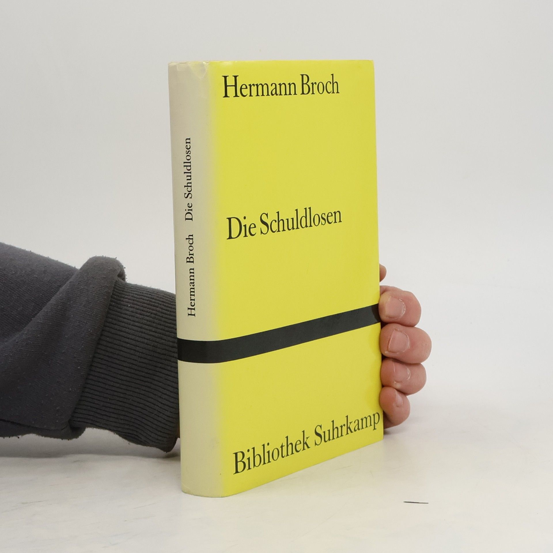 Die Schuldlosen. Roman in 11 Erzählungen