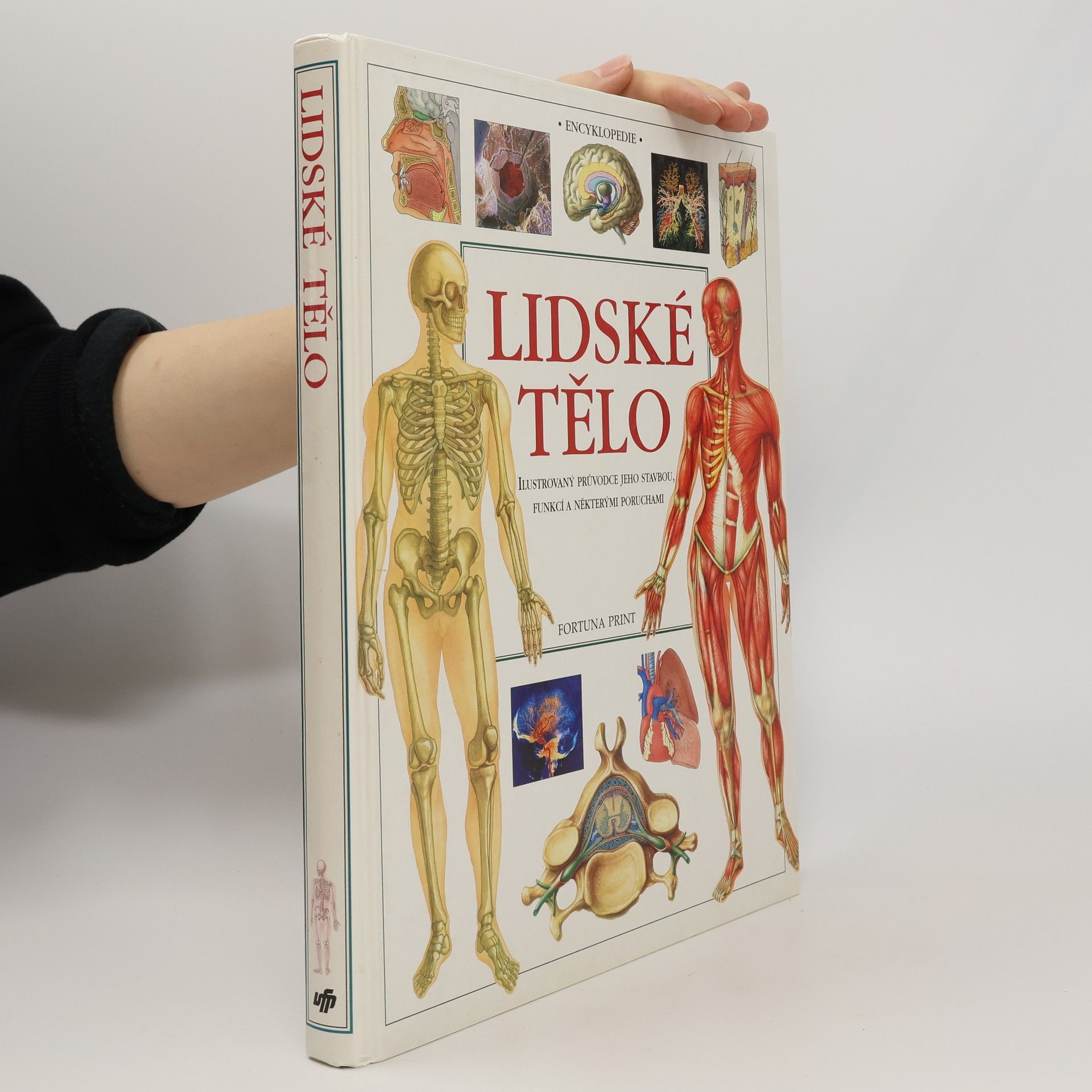 Ivan Fales Lidské tělo. Ilustrovaný průvodce jeho stavbou, funkcí a některými poruchami